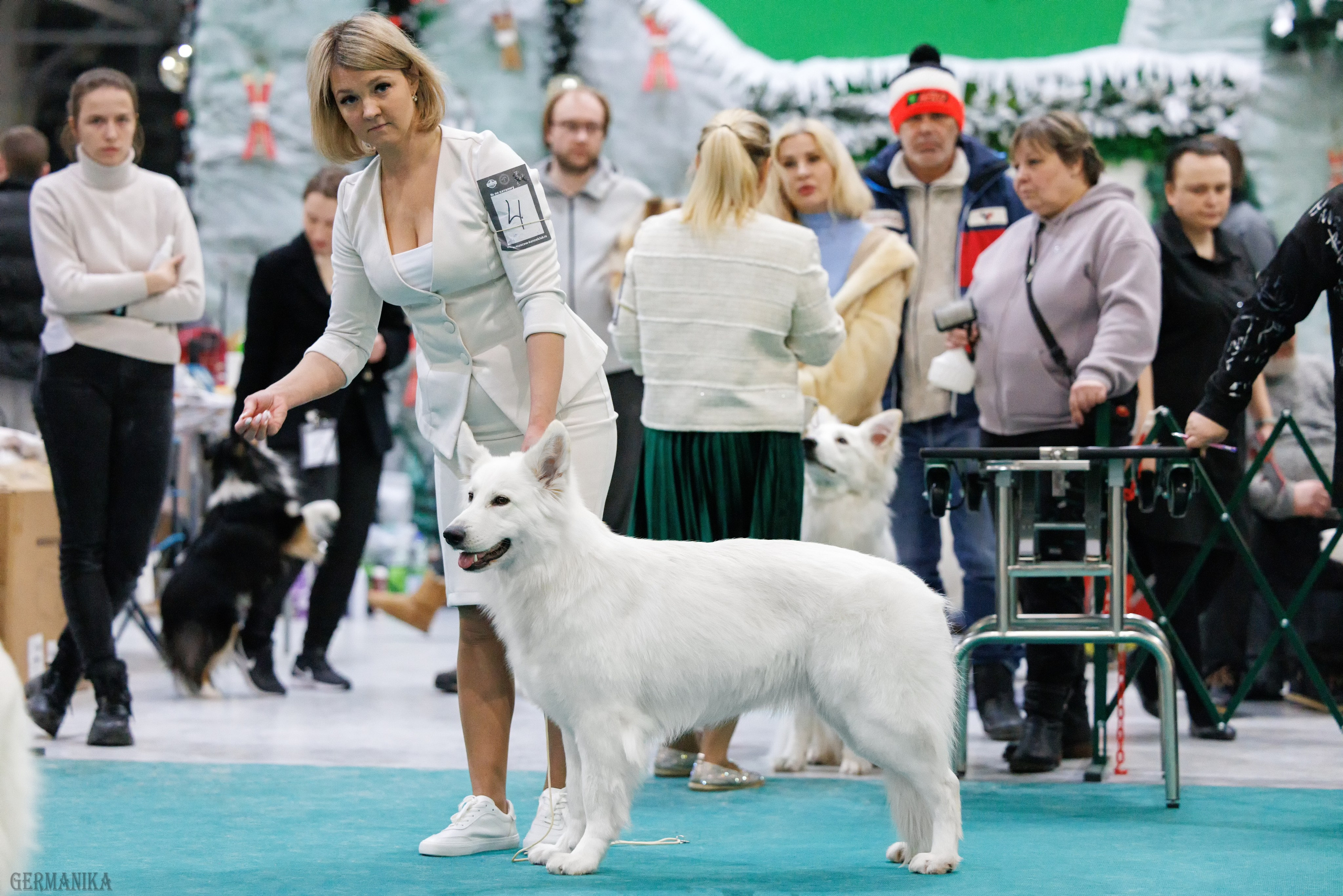 Крокус 10.02,Сфера 11.02.2024. Фотограф-анималист Юлия Германика