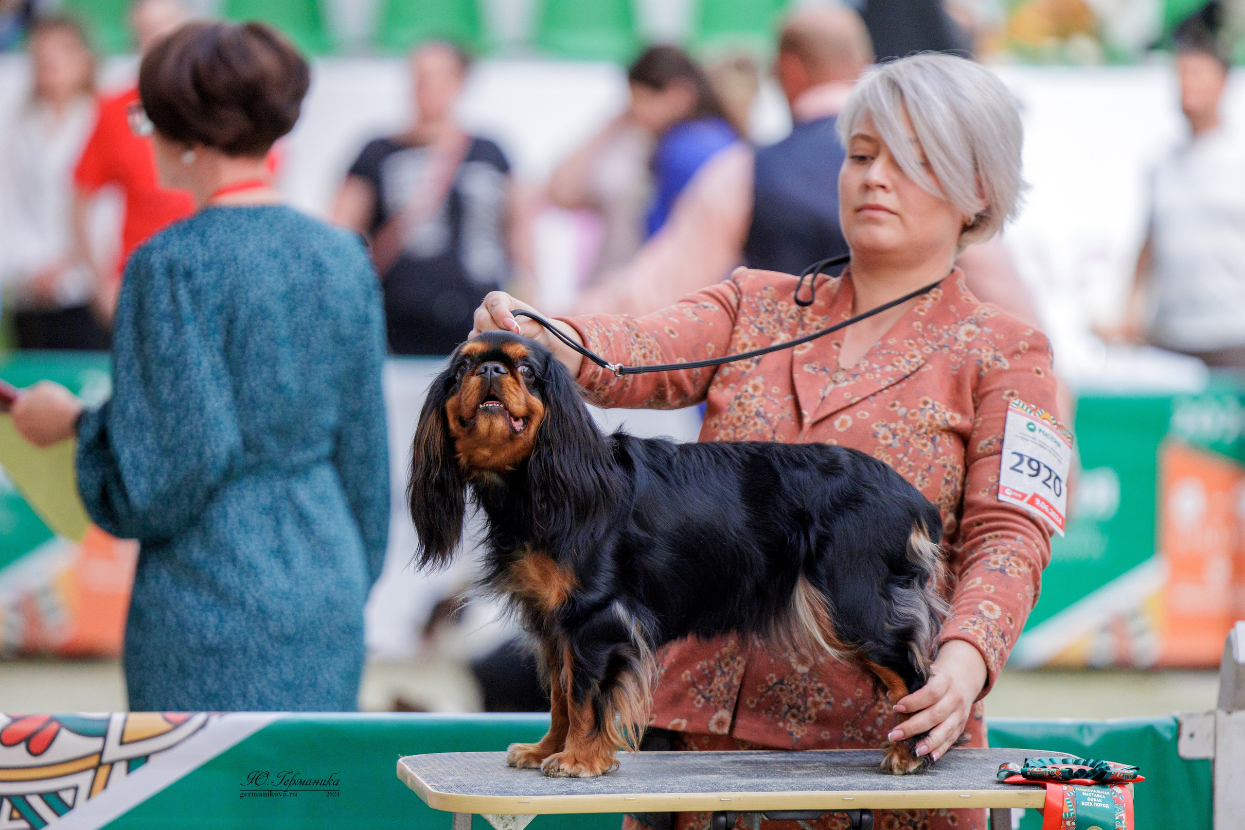 РОССИЯ 8-9.06.2024. Фотограф-анималист Юлия Германика