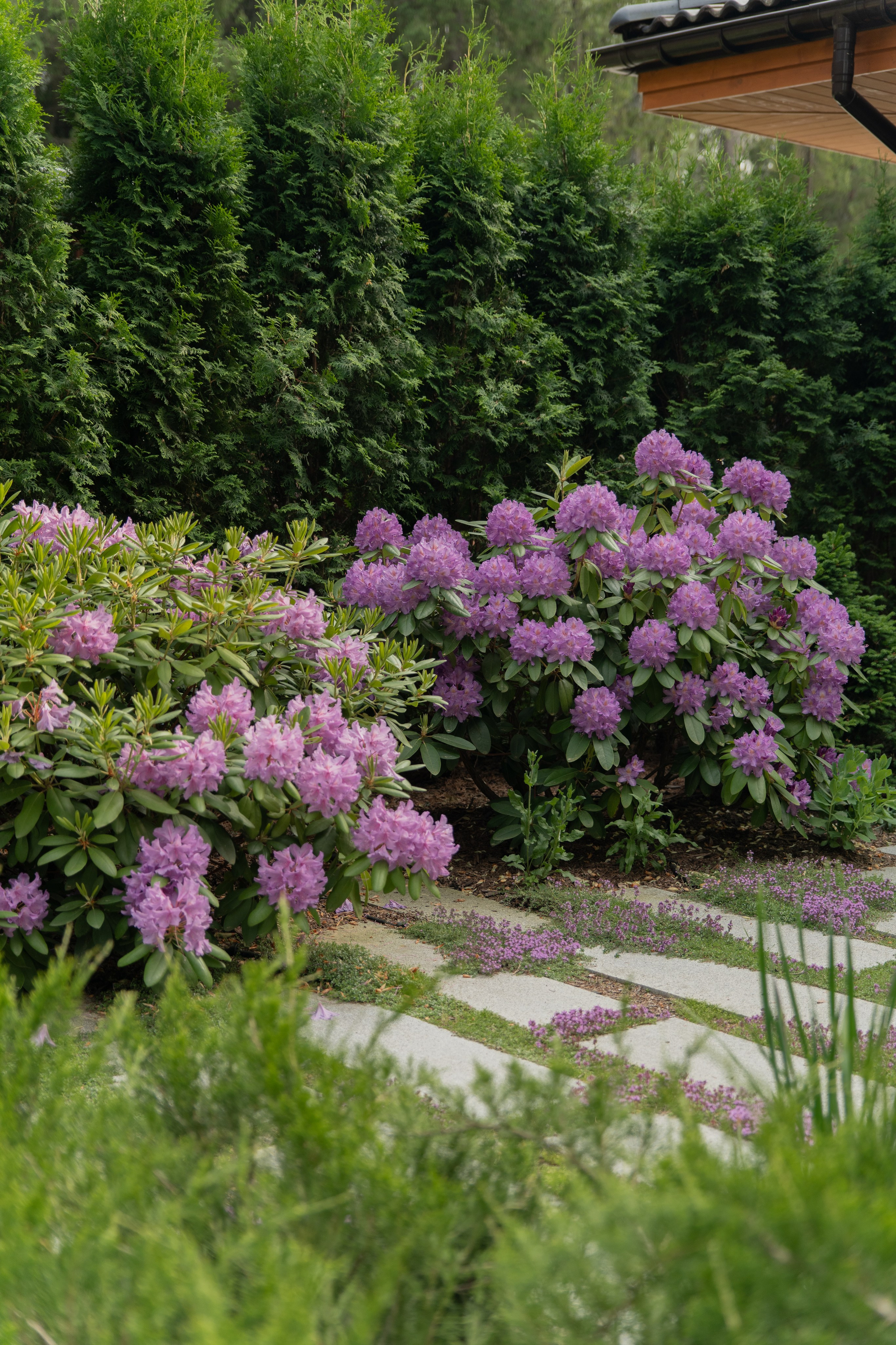 Участок в каральском стиле. Автомобильный фотограф Светлана Усова