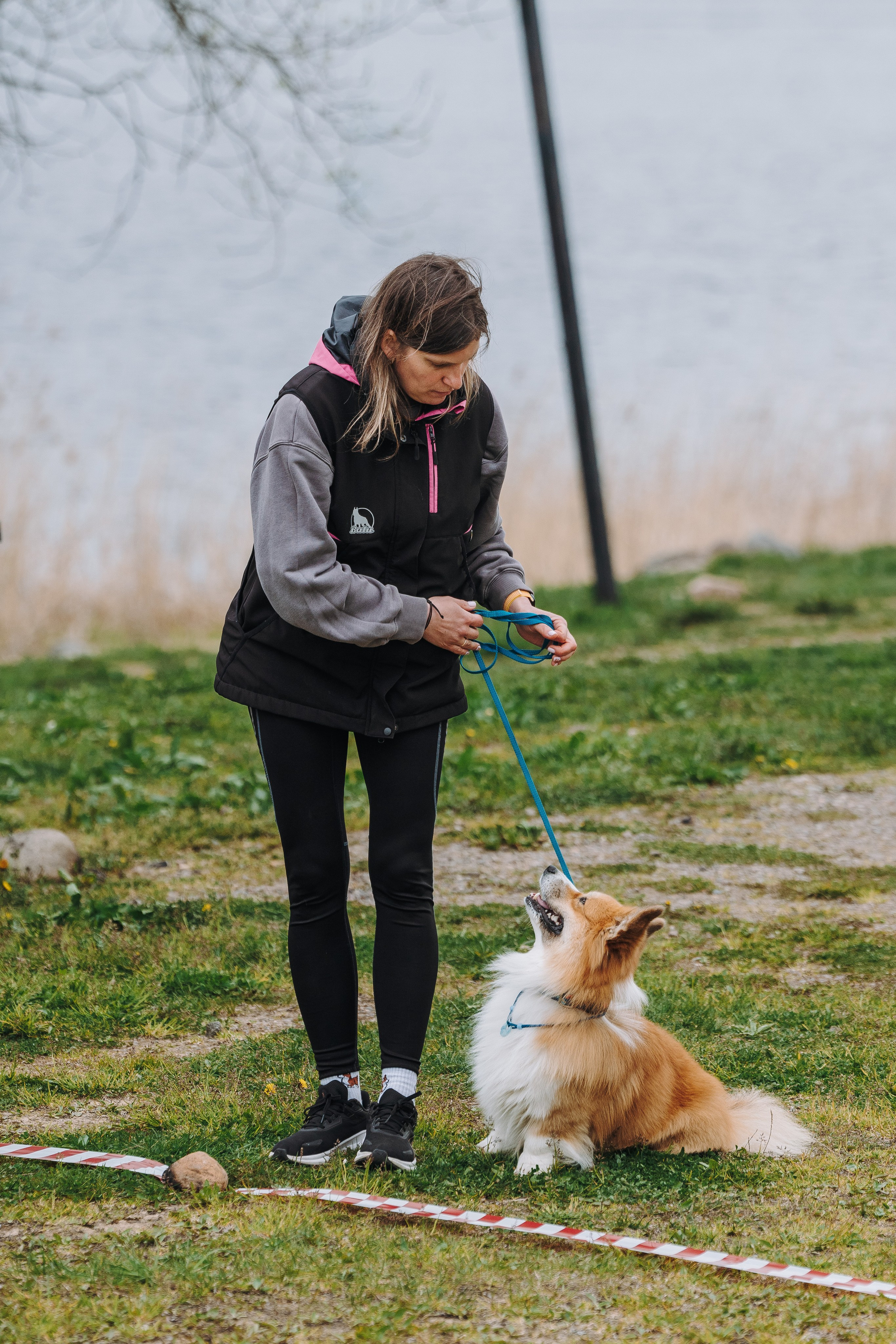 Соревнования по ноузворку в Лосево. Фотограф анималист в Спб недорого Олеся Майорова