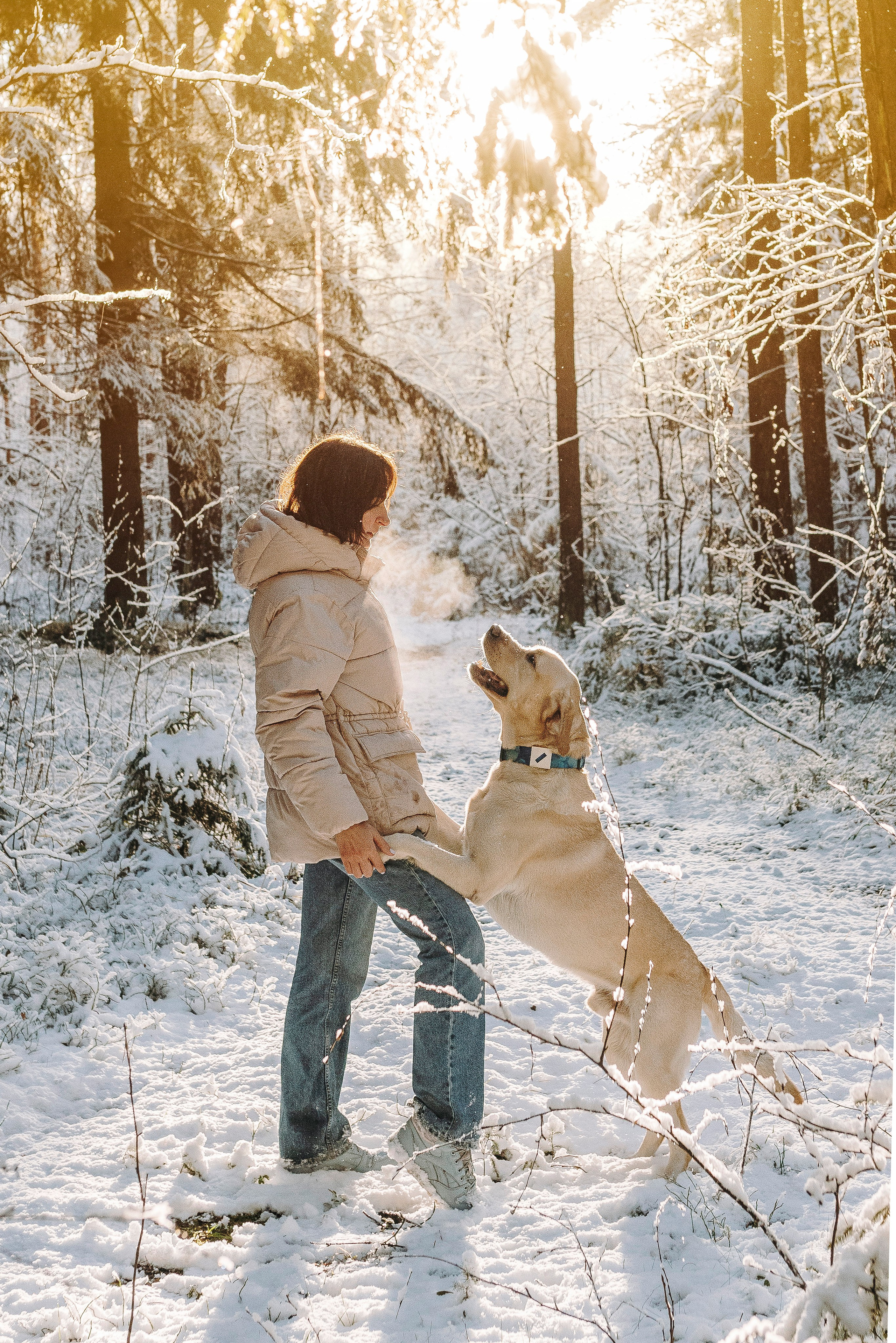 Аня и Честер. Фотограф анималист в Спб недорого Олеся Майорова