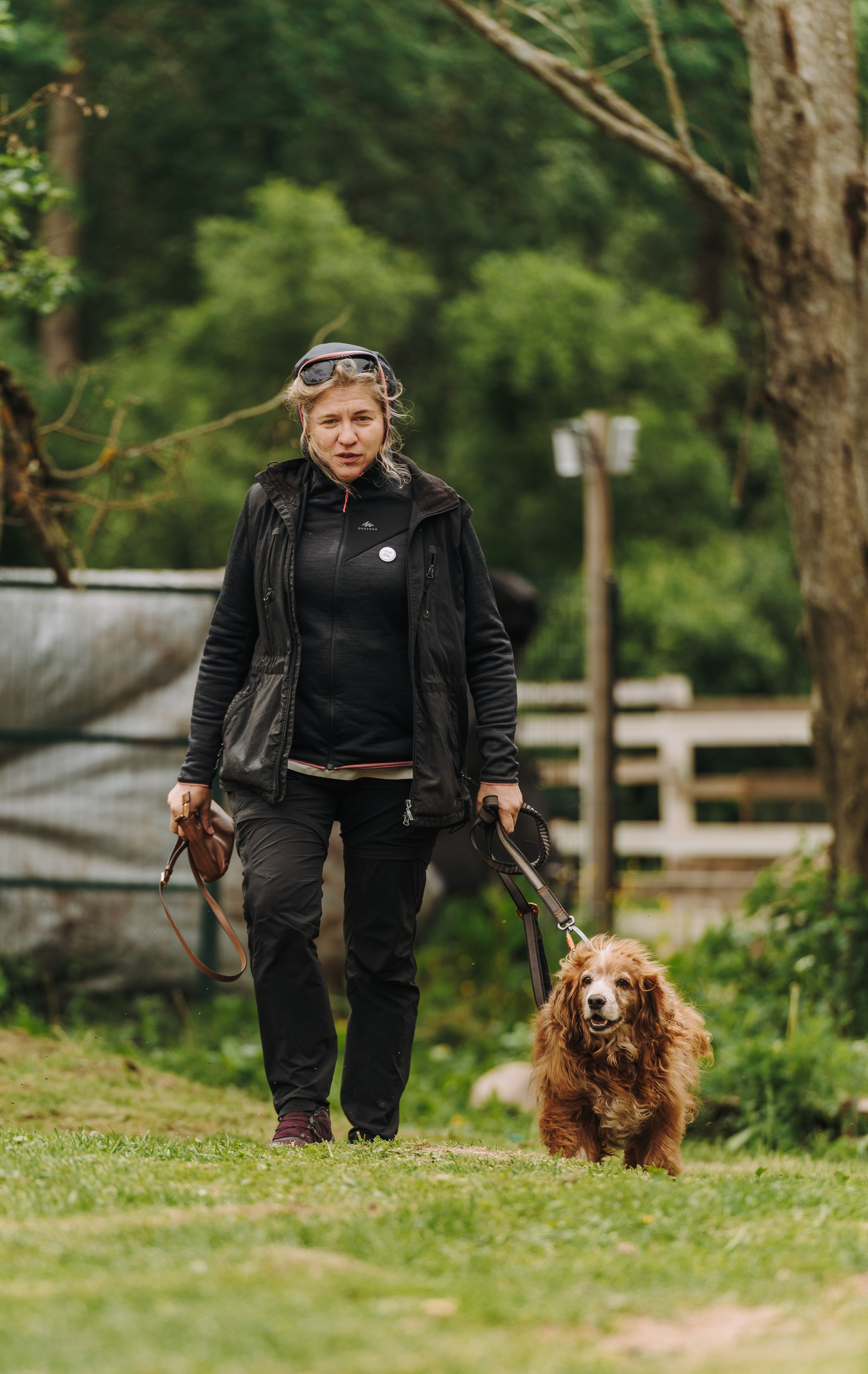 Соревнования по ноузворку. Фотограф анималист в Спб недорого Олеся Майорова