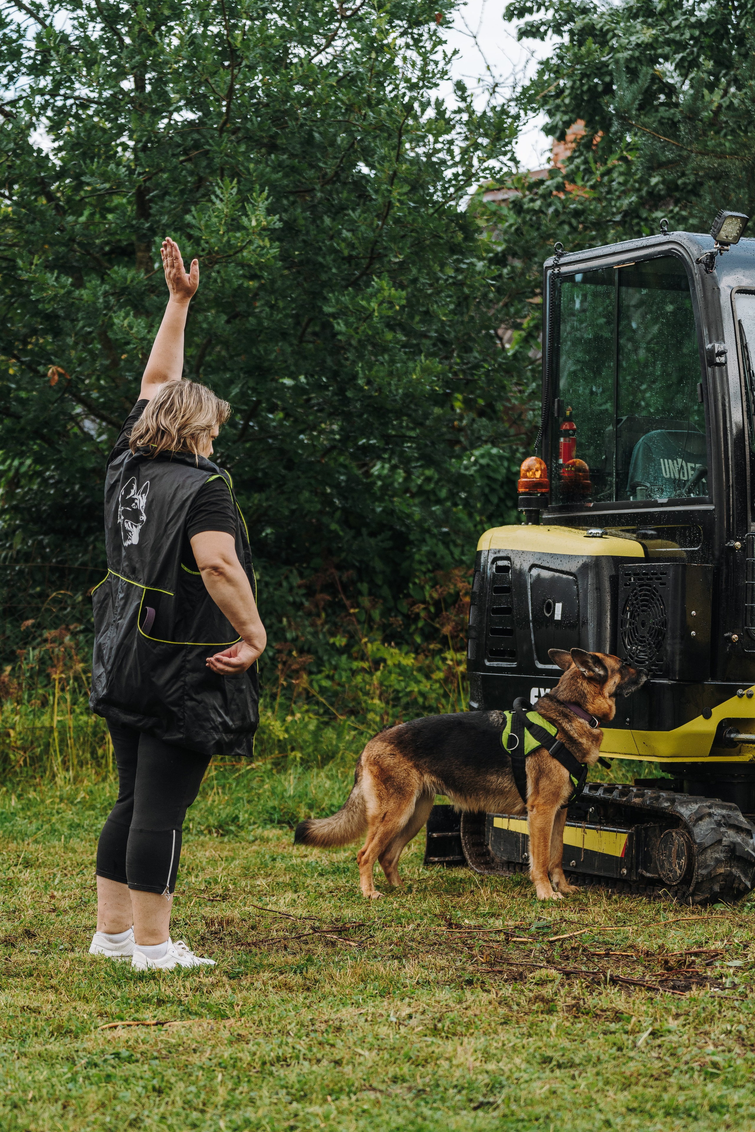 Соревнования по ноузворку в Новожилово. Фотограф анималист в Спб недорого Олеся Майорова