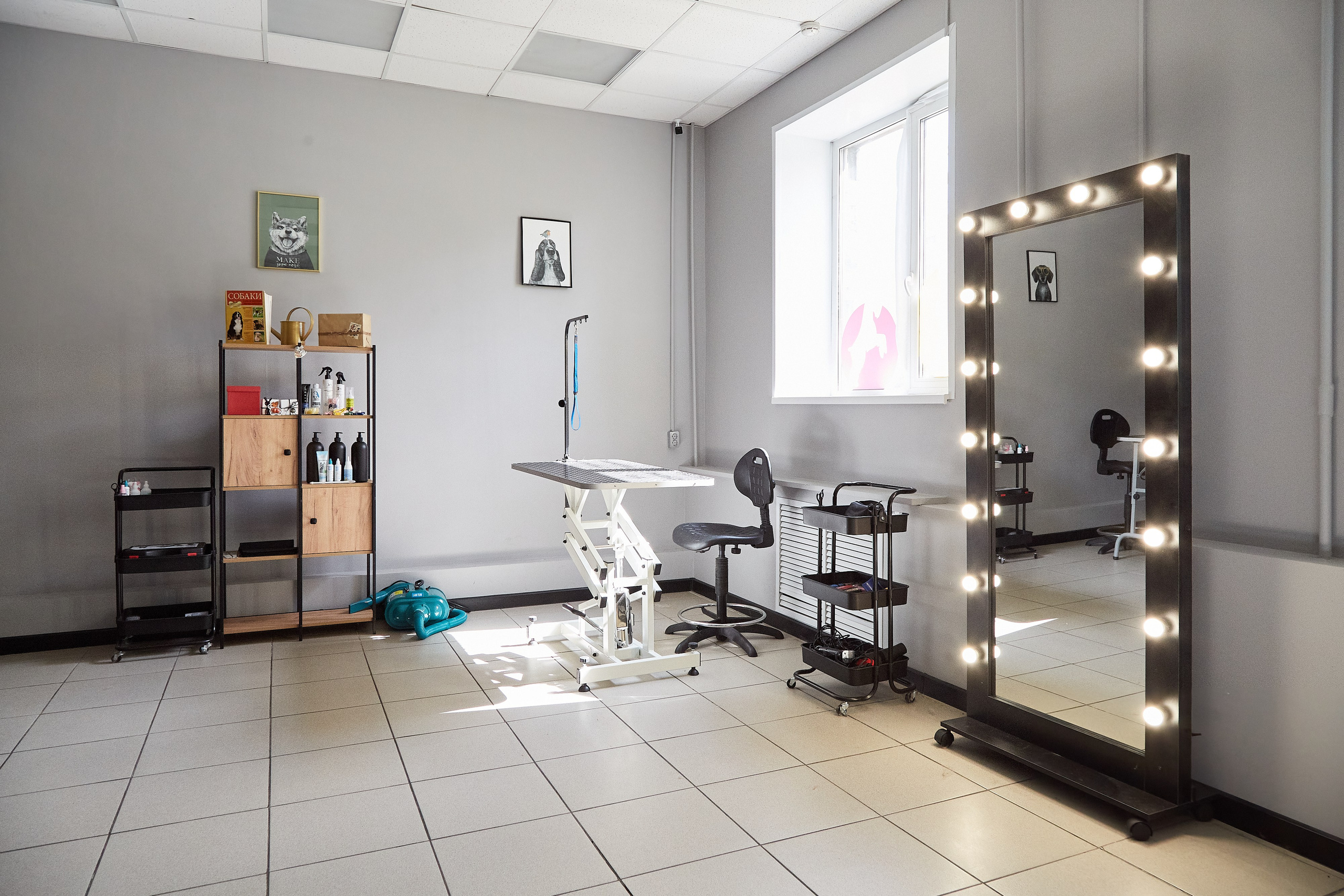 Зоопарикмахерская Avrora Groom. Фотограф Анастасия Леонтьева Санкт-Петербург