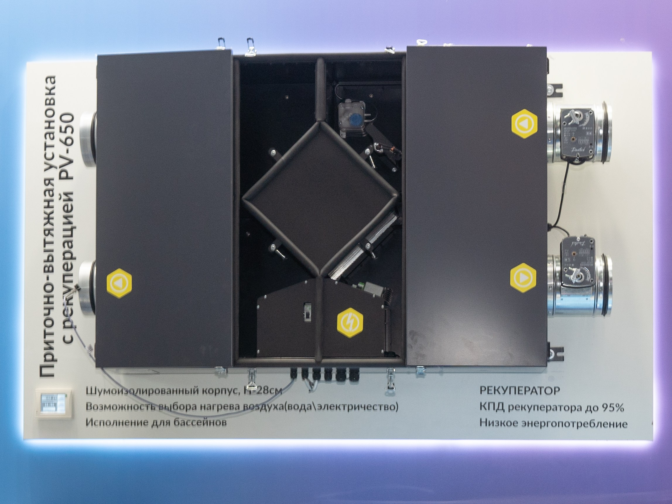 Крокус Вентиляция. Фотограф Зинаида Евдокимова