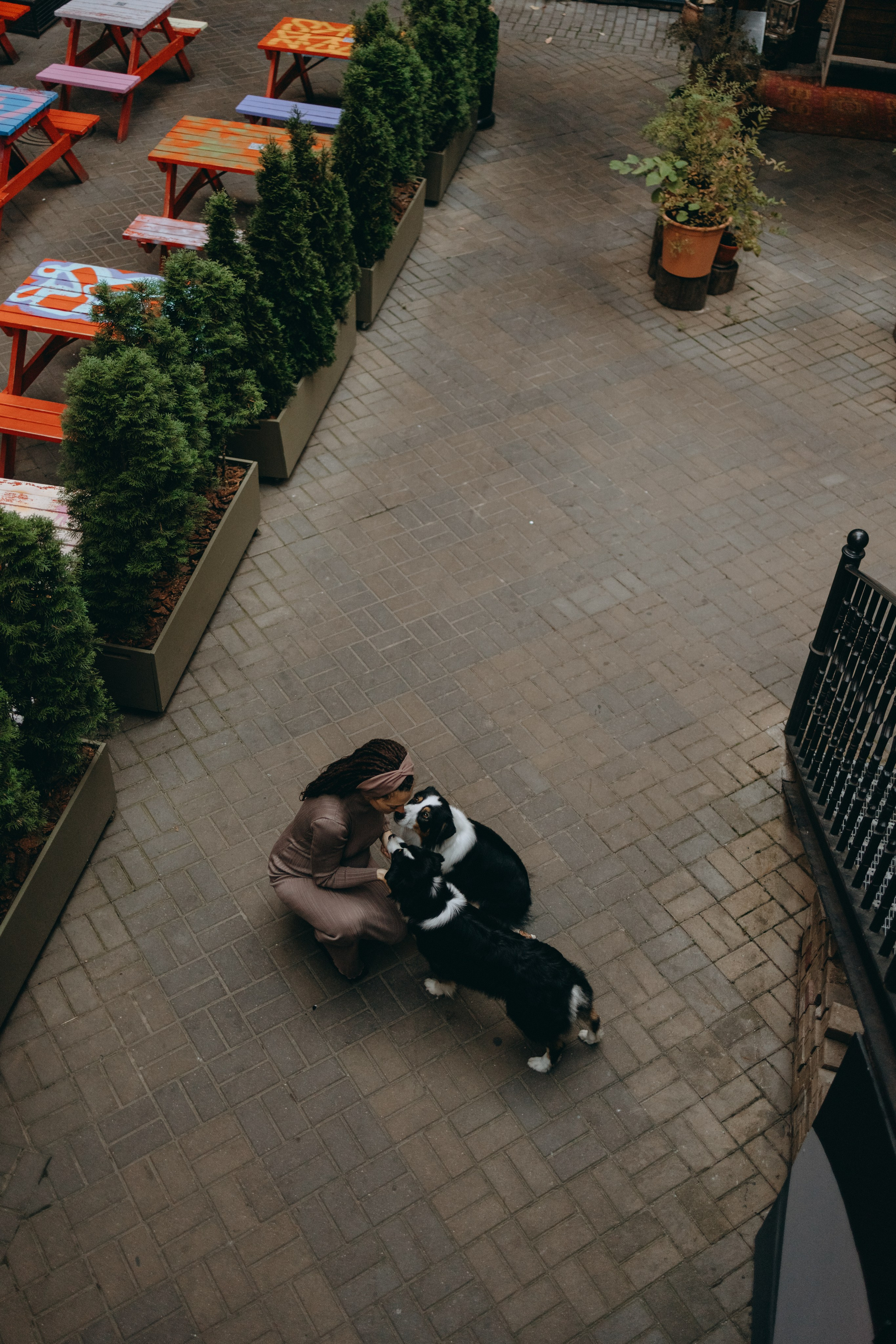 Катя и ее девочки. Фотограф — Анималист | Санкт-Петербург