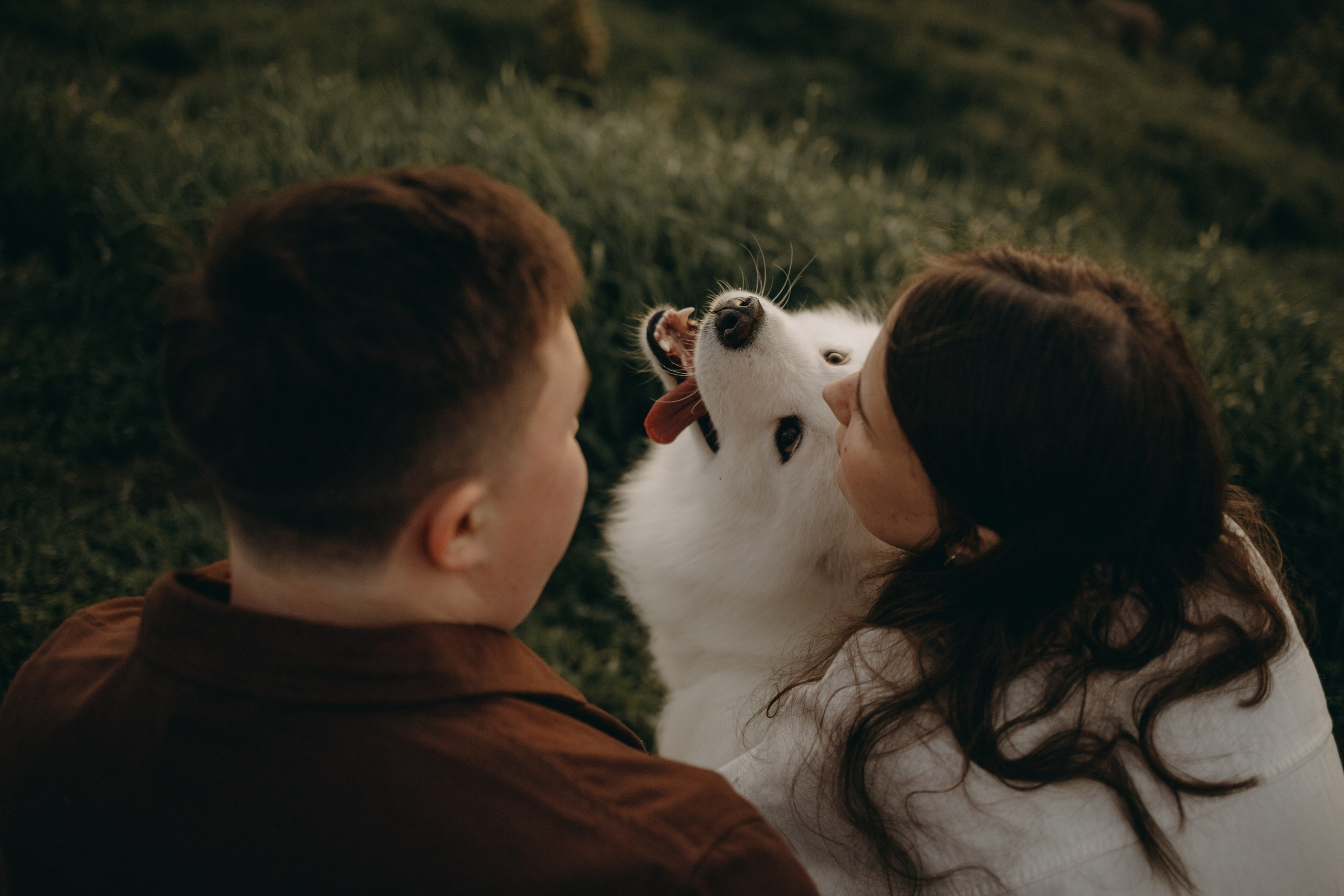 Танго и его семья. Фотограф — Анималист | Санкт-Петербург
