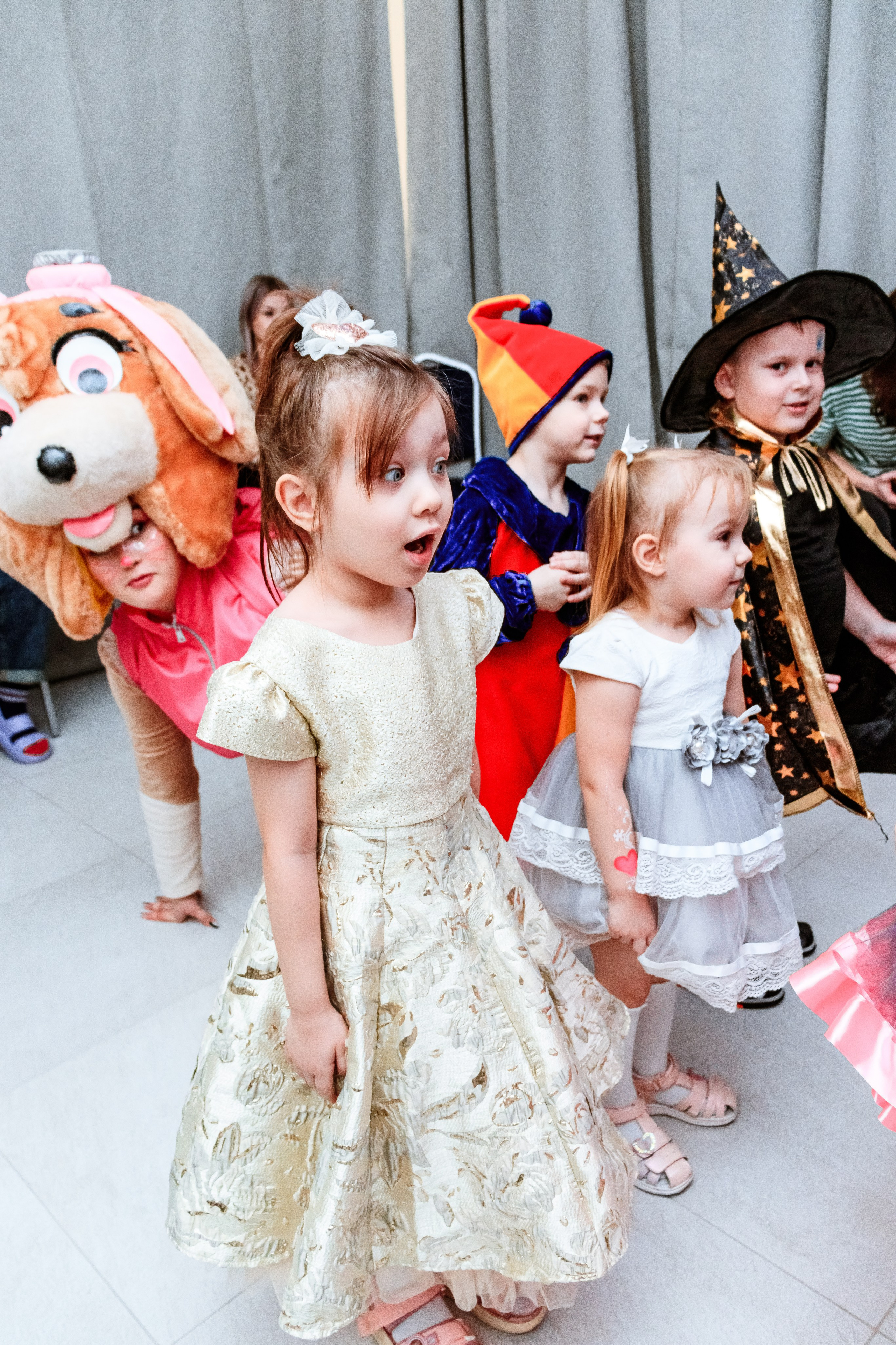 Знайка. Щенячий новый год. Фотограф — Новосибирск