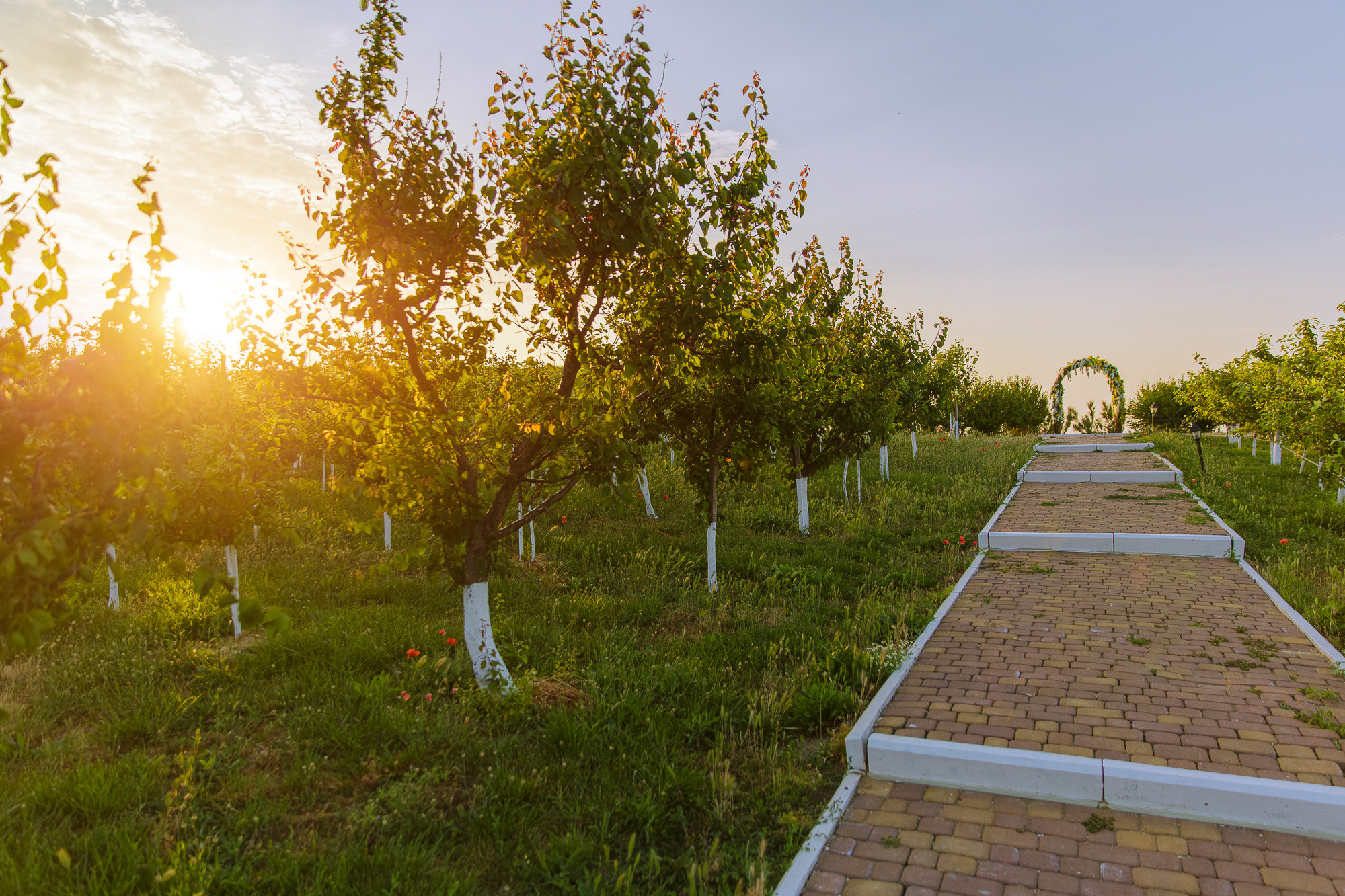 Renatphoto-Экстерьерная фотосессия территории отеля. Профессиональная фотосъёмка интерьеров, предметная фотосессия еды для меню г. Анапа