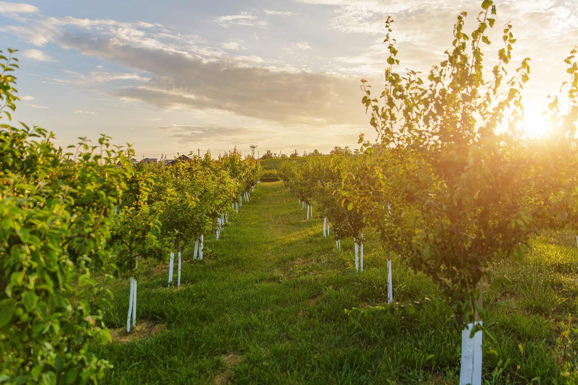 Renatphoto-Экстерьерная фотосессия территории отеля. Профессиональная фотосъёмка интерьеров, предметная фотосессия еды для меню г. Анапа