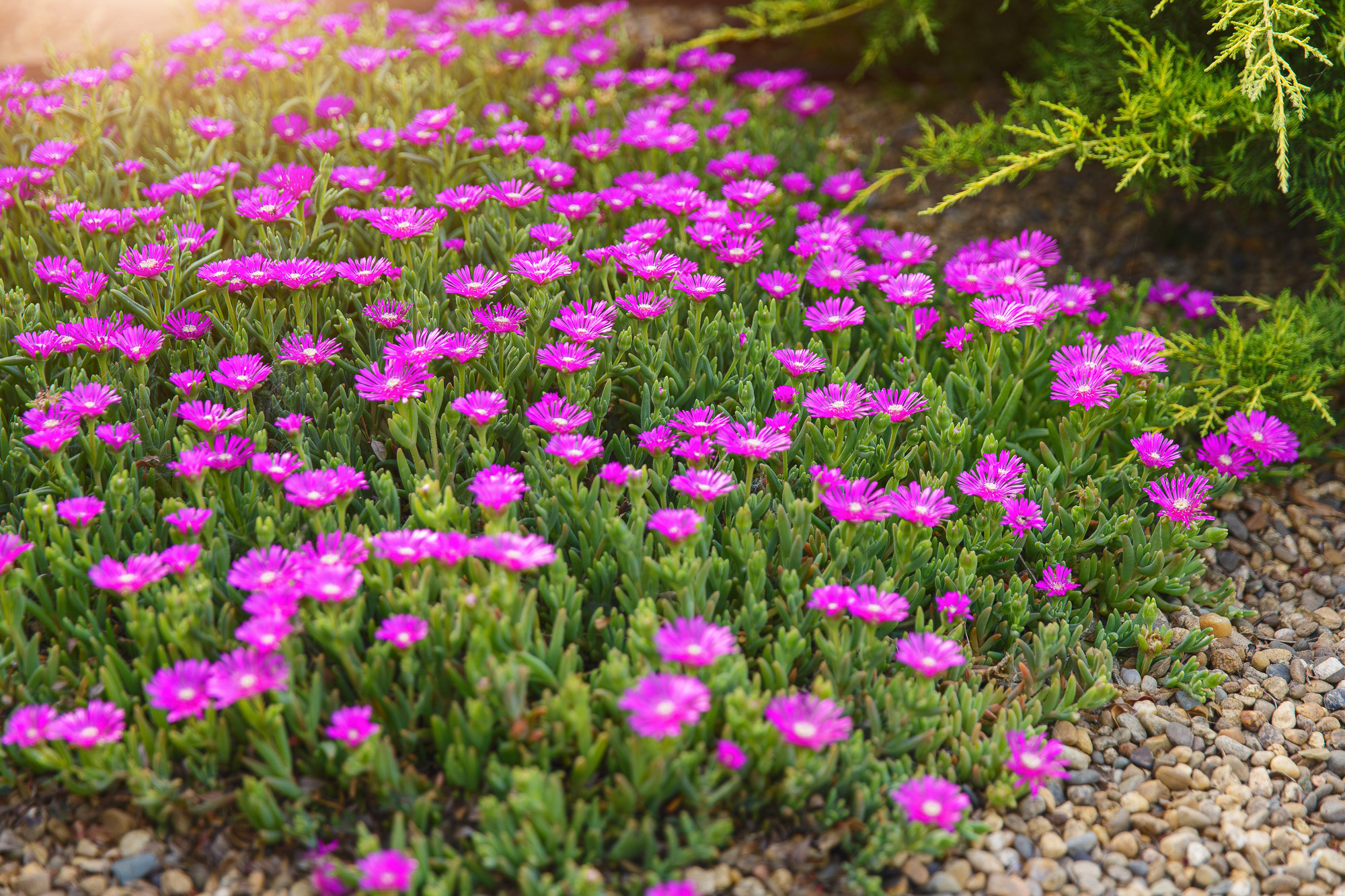 Renatphoto-Экстерьерная фотосессия территории отеля. Профессиональная фотосъёмка интерьеров, предметная фотосессия еды для меню г. Анапа