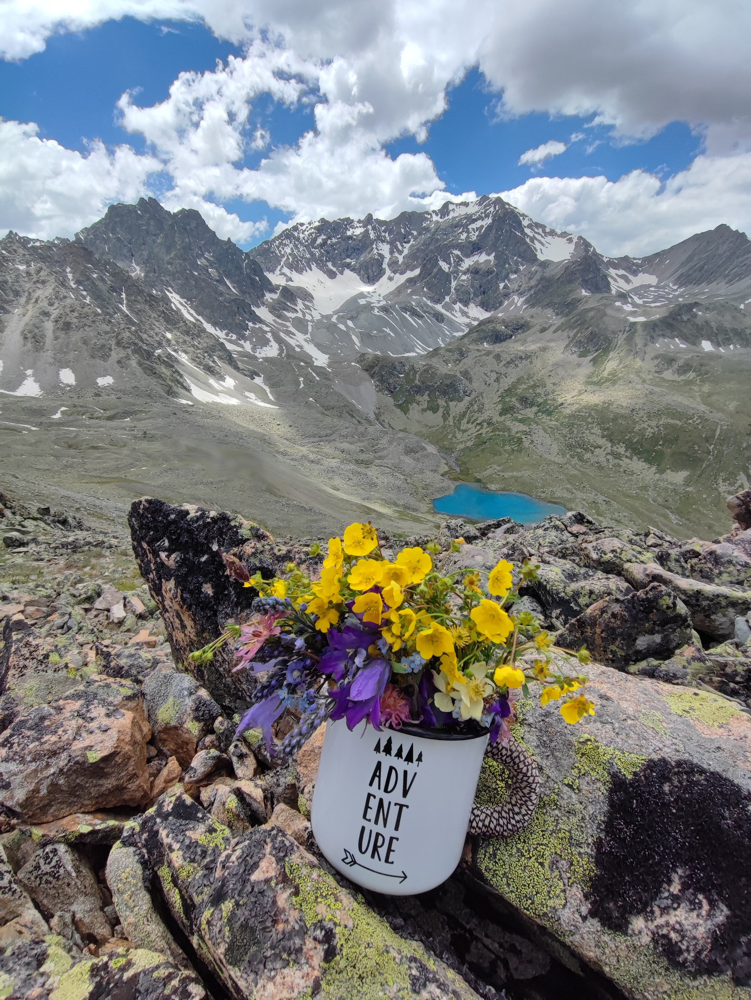 Намобилкус кавказский. Репортажный фотограф Алексей Пирязев