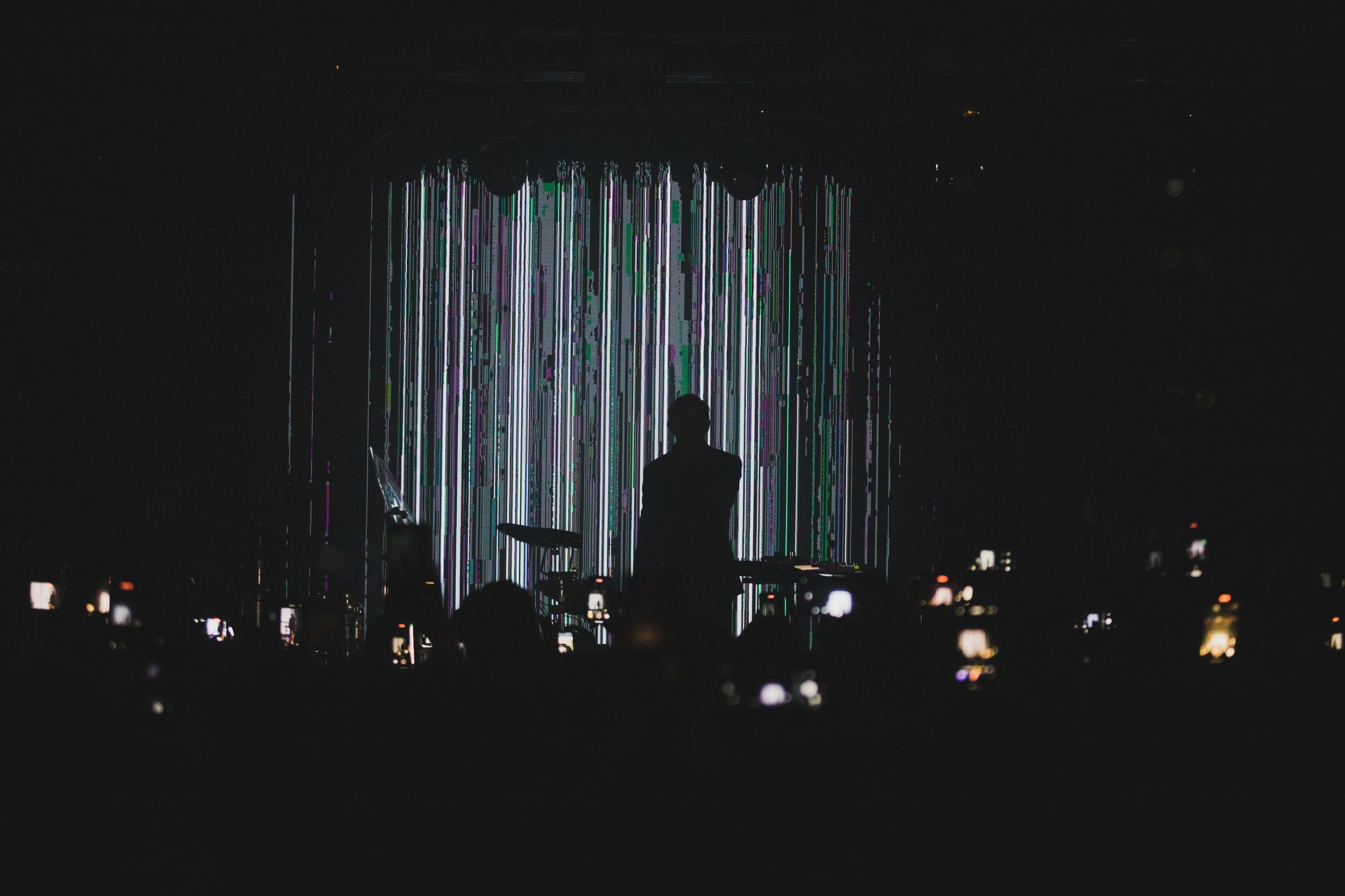 Дельфин. Репортажный фотограф Алексей Пирязев