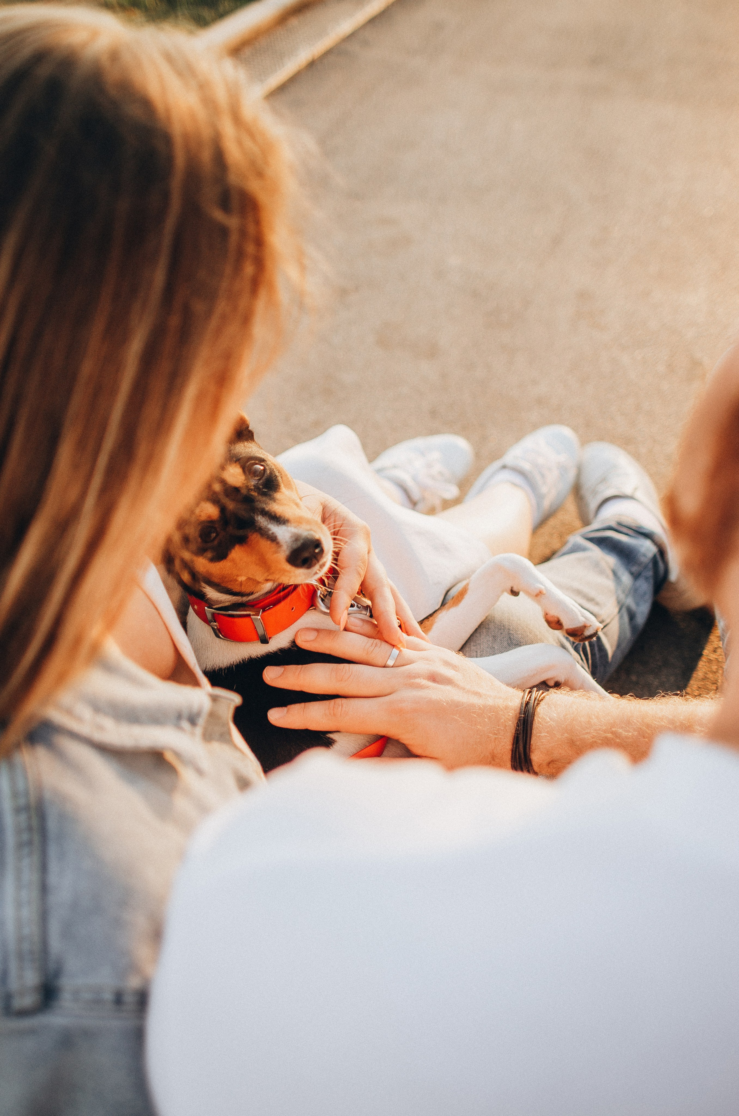 Лена, Никита и Эсма. Фотограф-анималист Богданова Полина
