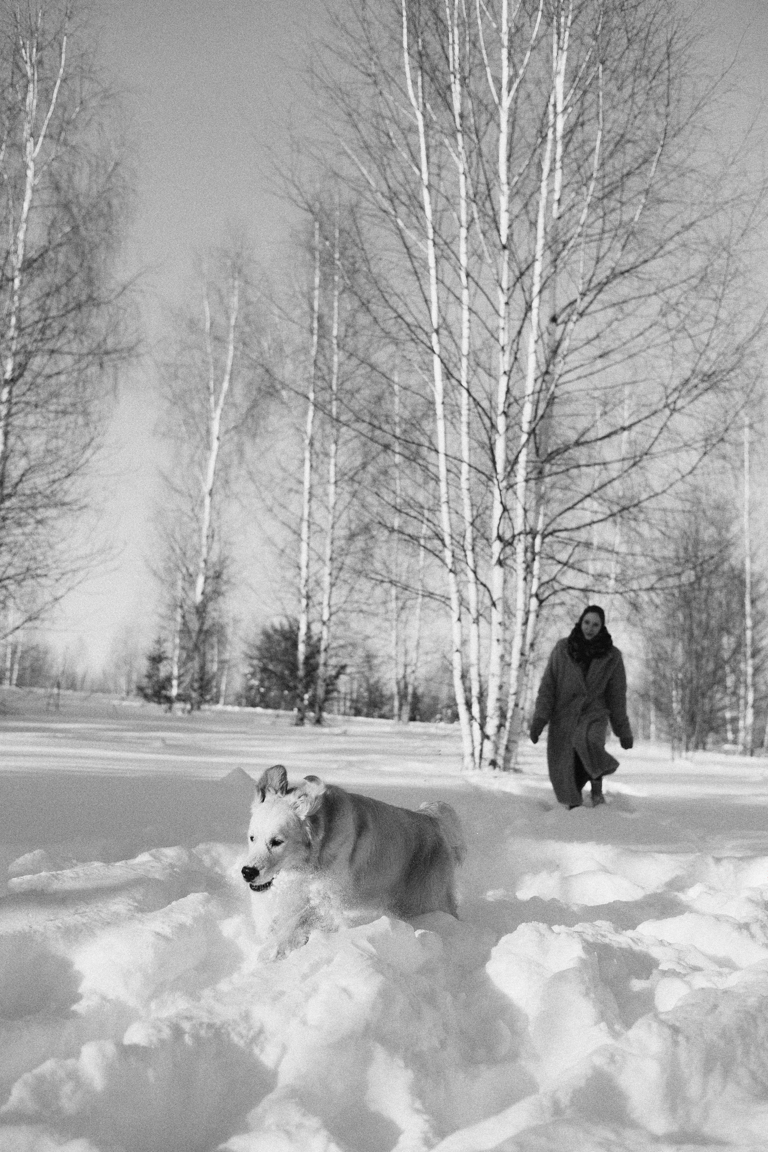 Лена и Декстер. Фотограф-анималист Богданова Полина