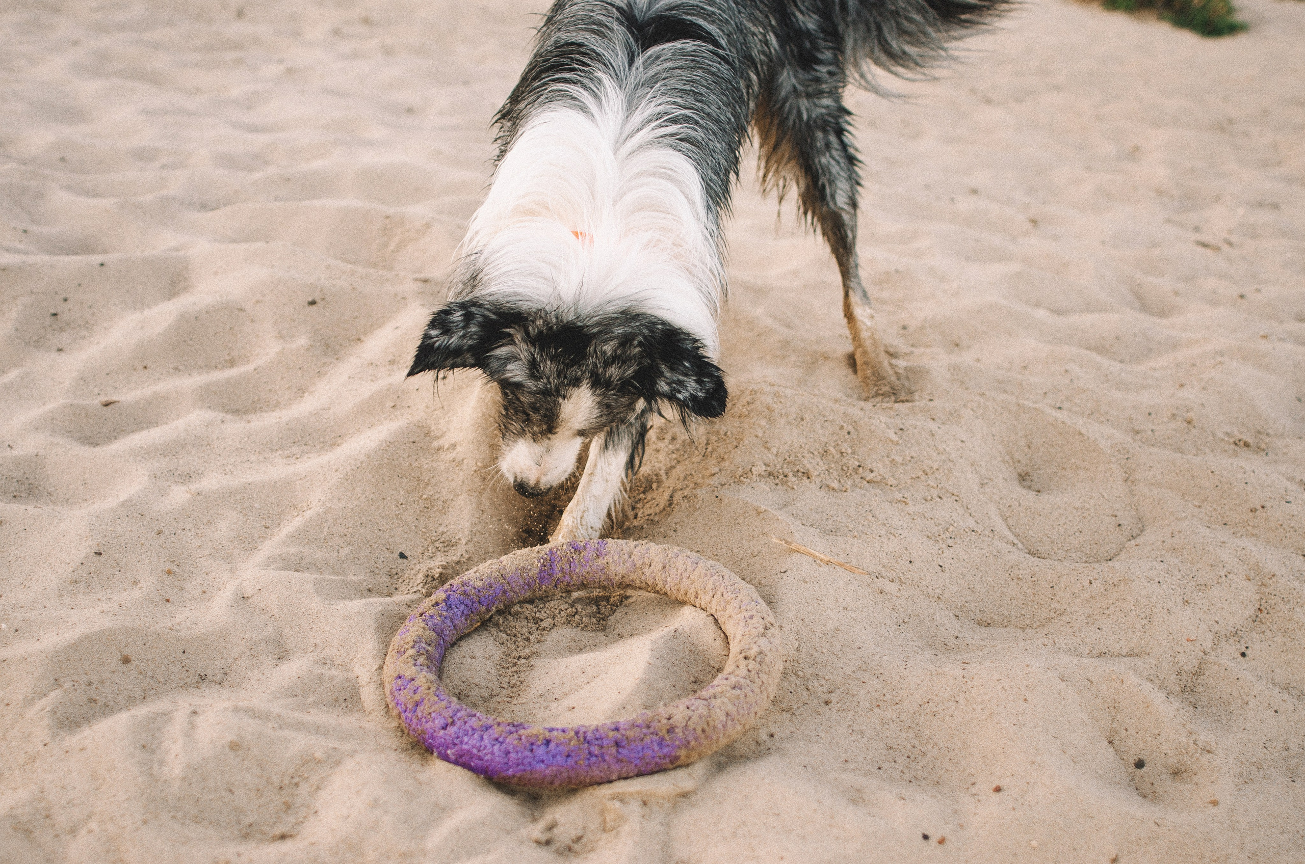 Таня и Бриллиант. Фотограф-анималист Богданова Полина