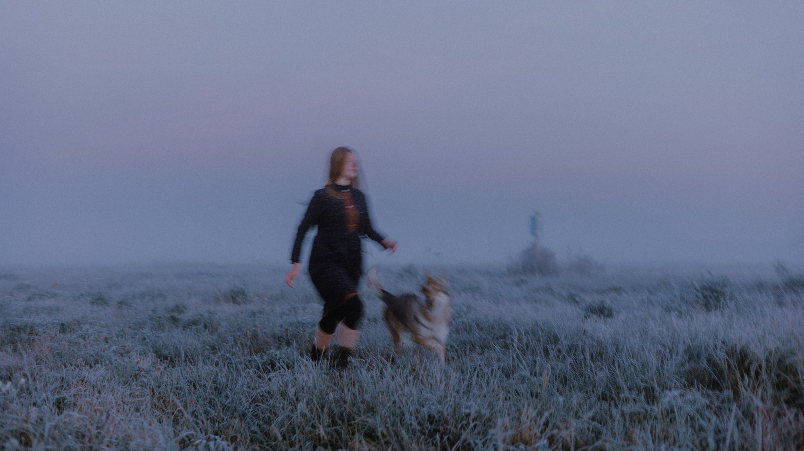 Полина и Вегард. Фотограф-анималист Богданова Полина