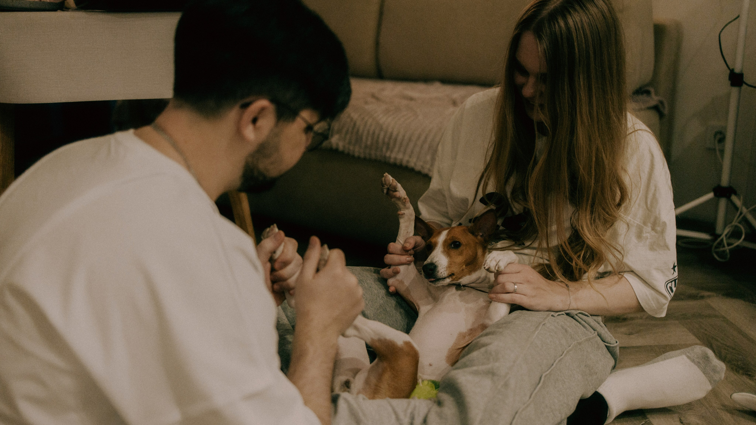 Люба, Никита и Бахати. Фотограф-анималист Богданова Полина