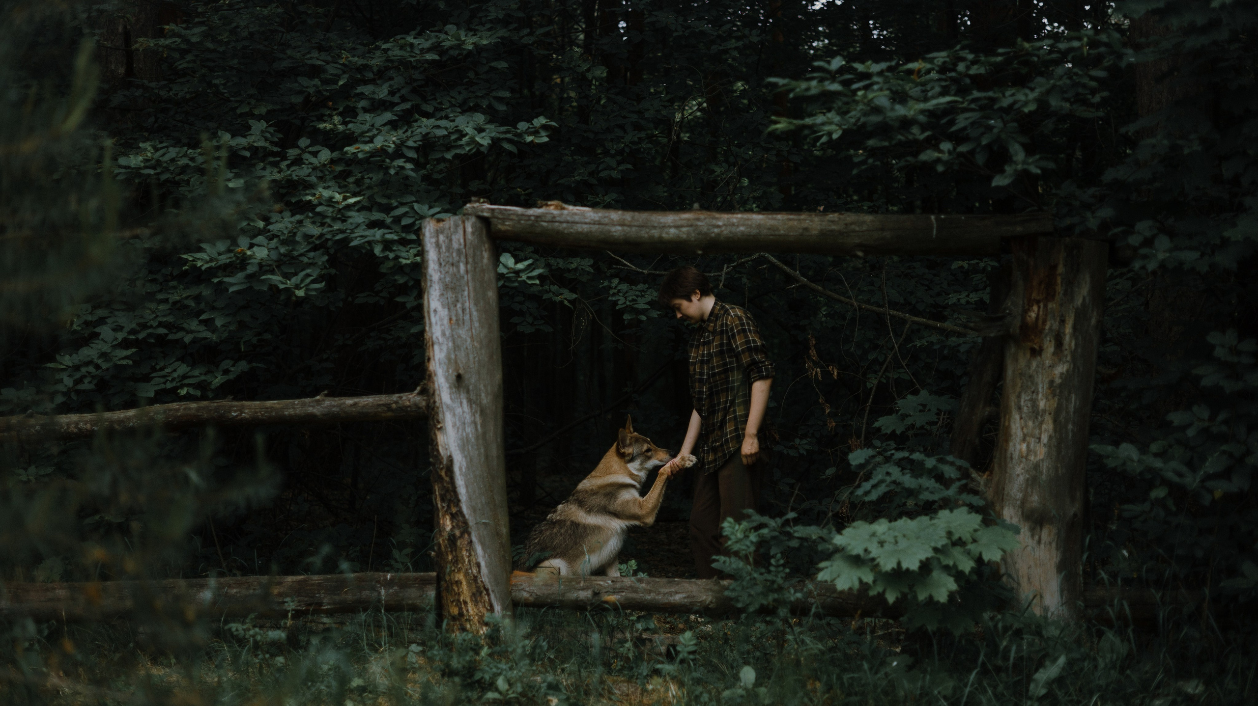 Маша и Дэрил. Фотограф-анималист Богданова Полина