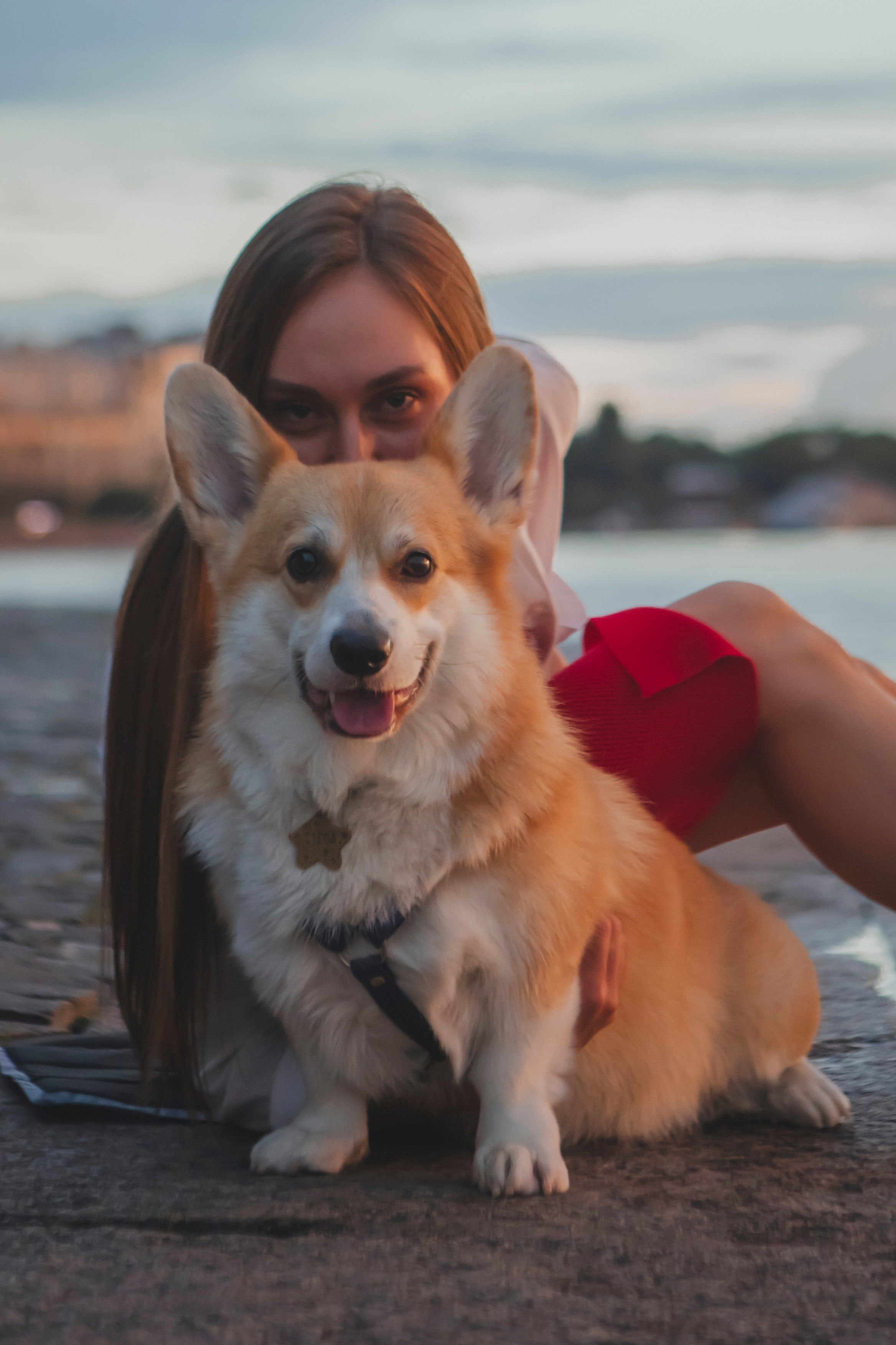 Настя и Стёпа. Фотограф-анималист в Санкт-Петербурге Алина Яхонт