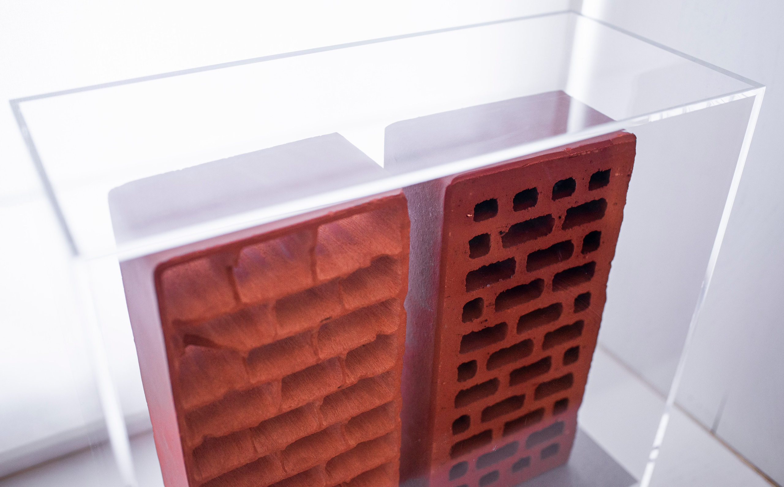 Выставка в доме Третьяковых. Фотограф в Москве Алейникова Евгения