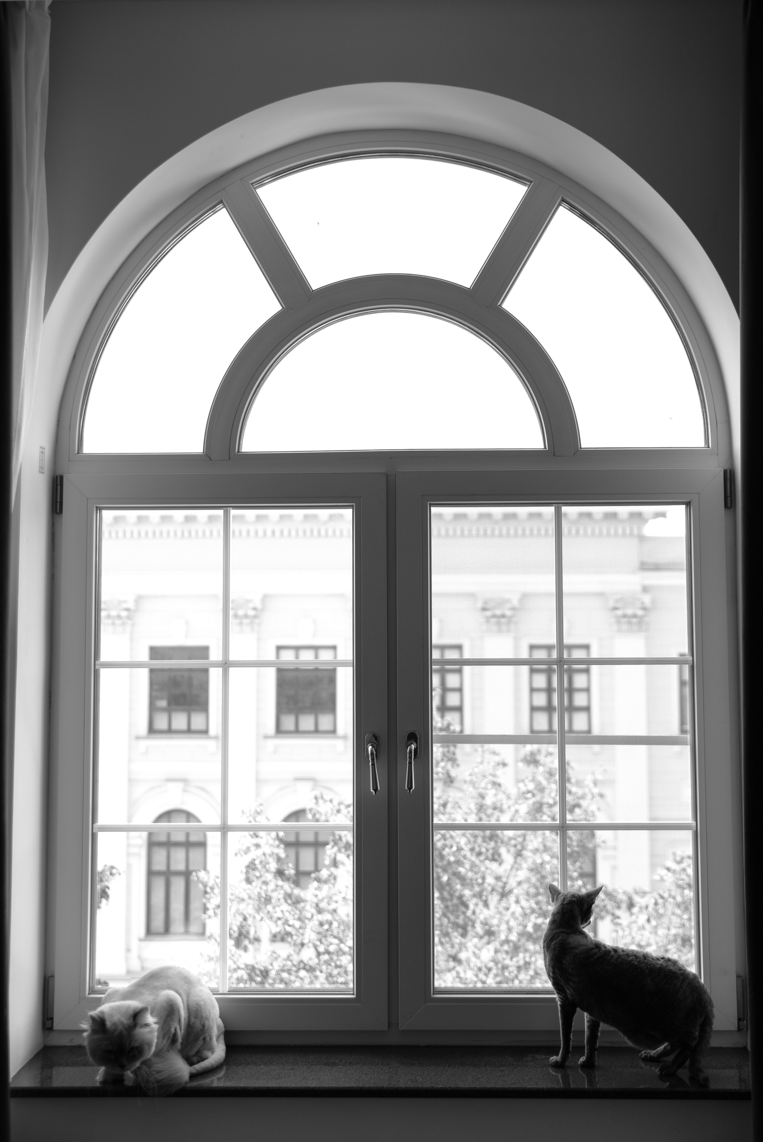 Юрий и Анастасия. Свадебный и семейный фотограф Харольцева Наталья