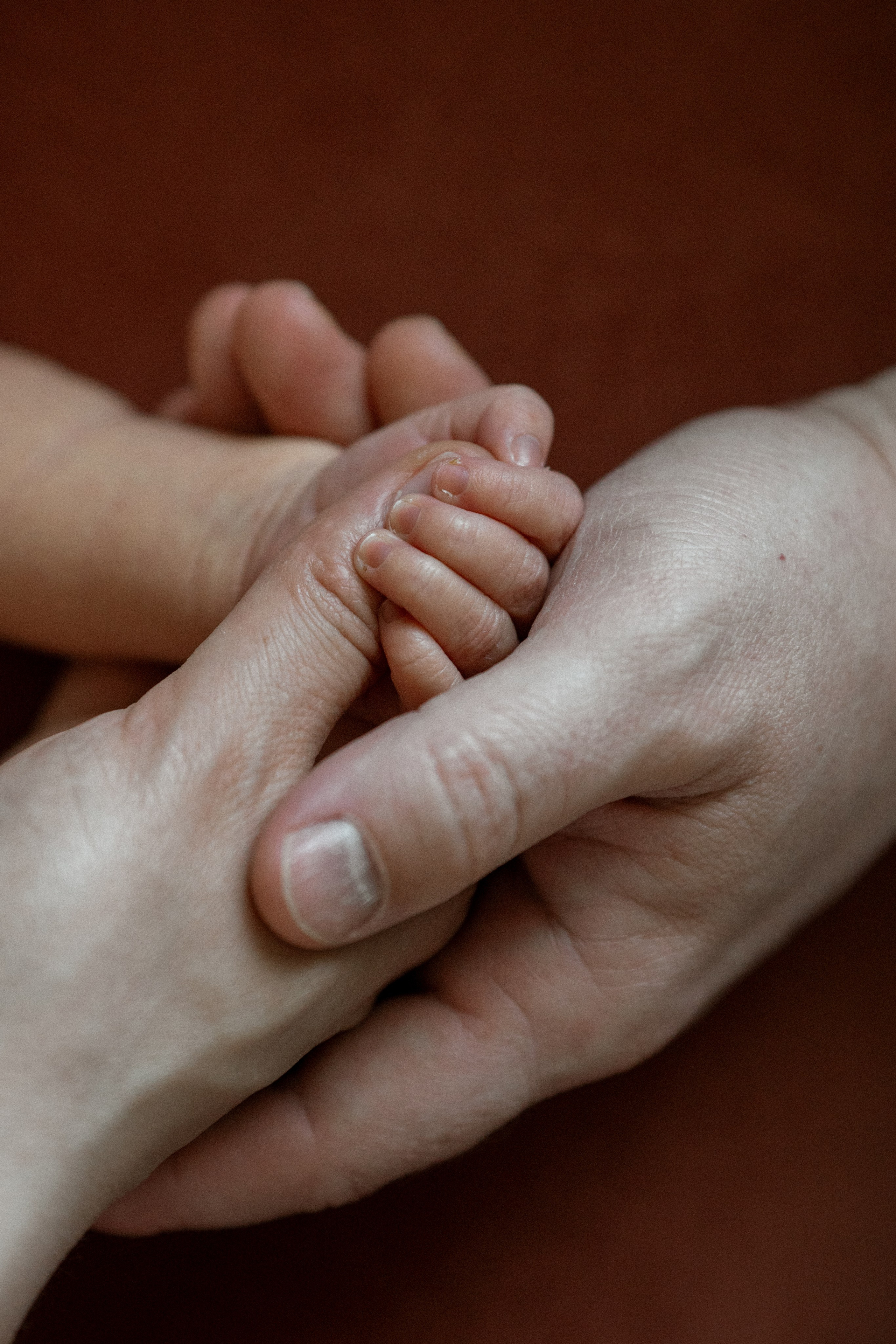 Лизе 14 дней. Семейный фотограф в Санкт-Петербурге — Наташа Тарасенко