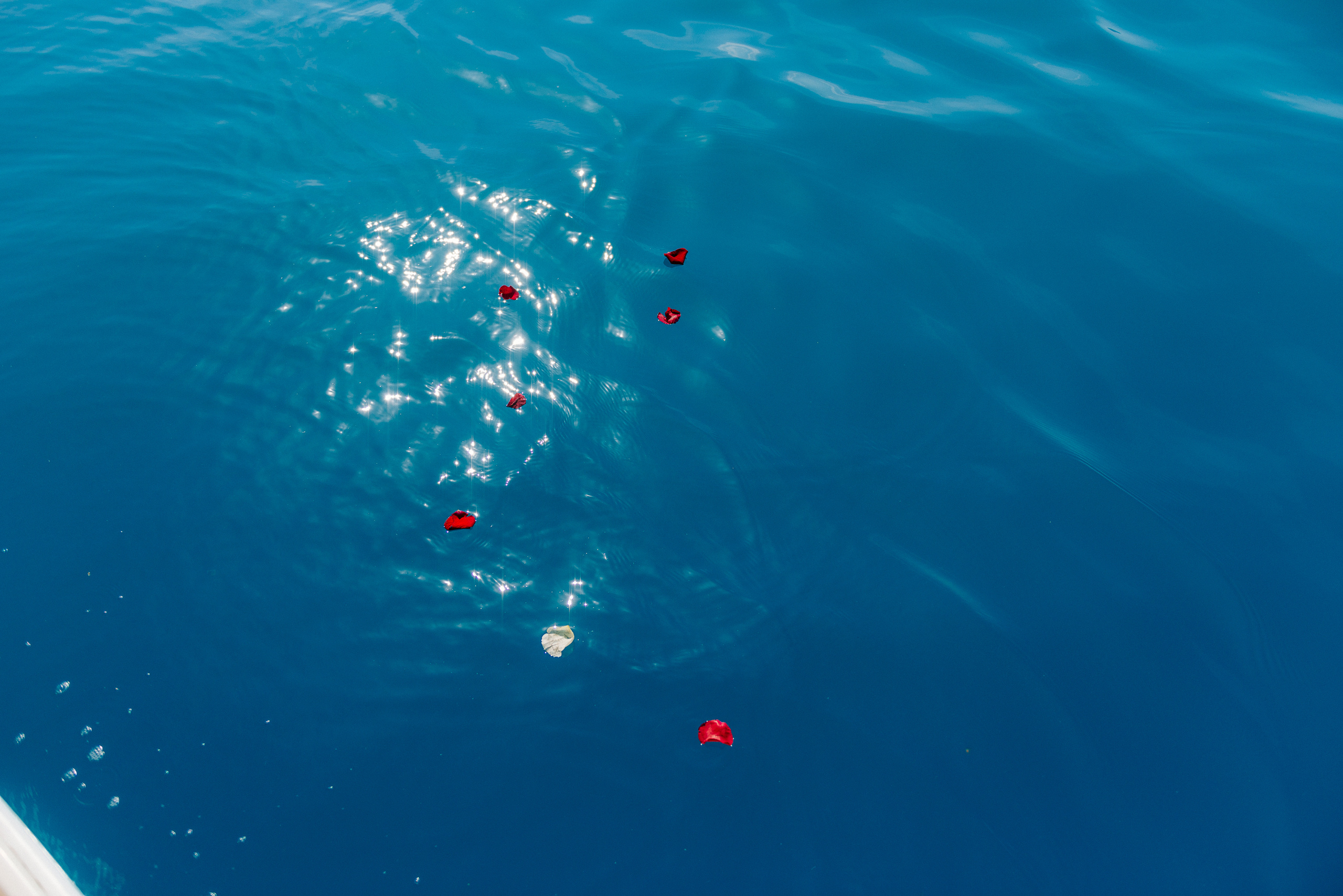 Трогательная история любви. Fedor Lemeshko — Destination Wedding and Family Lifestyle photographer