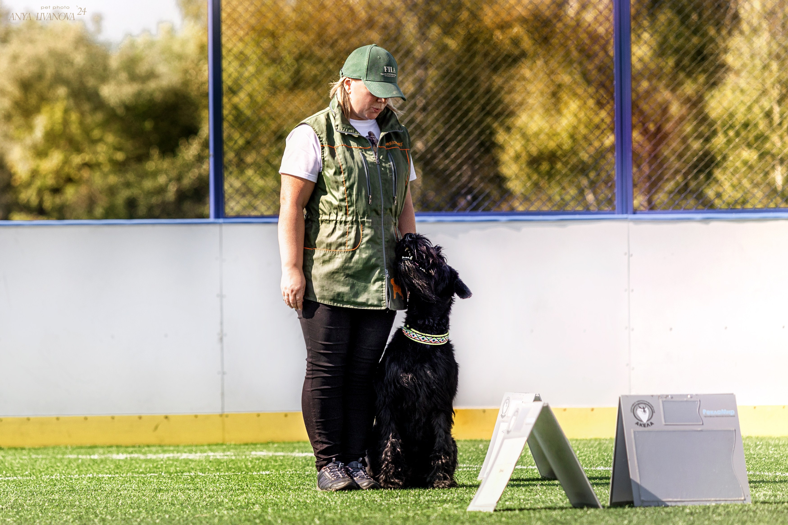 Ралли обидиенс. Фотограф анималист Аня Ливанова | Рыбинск