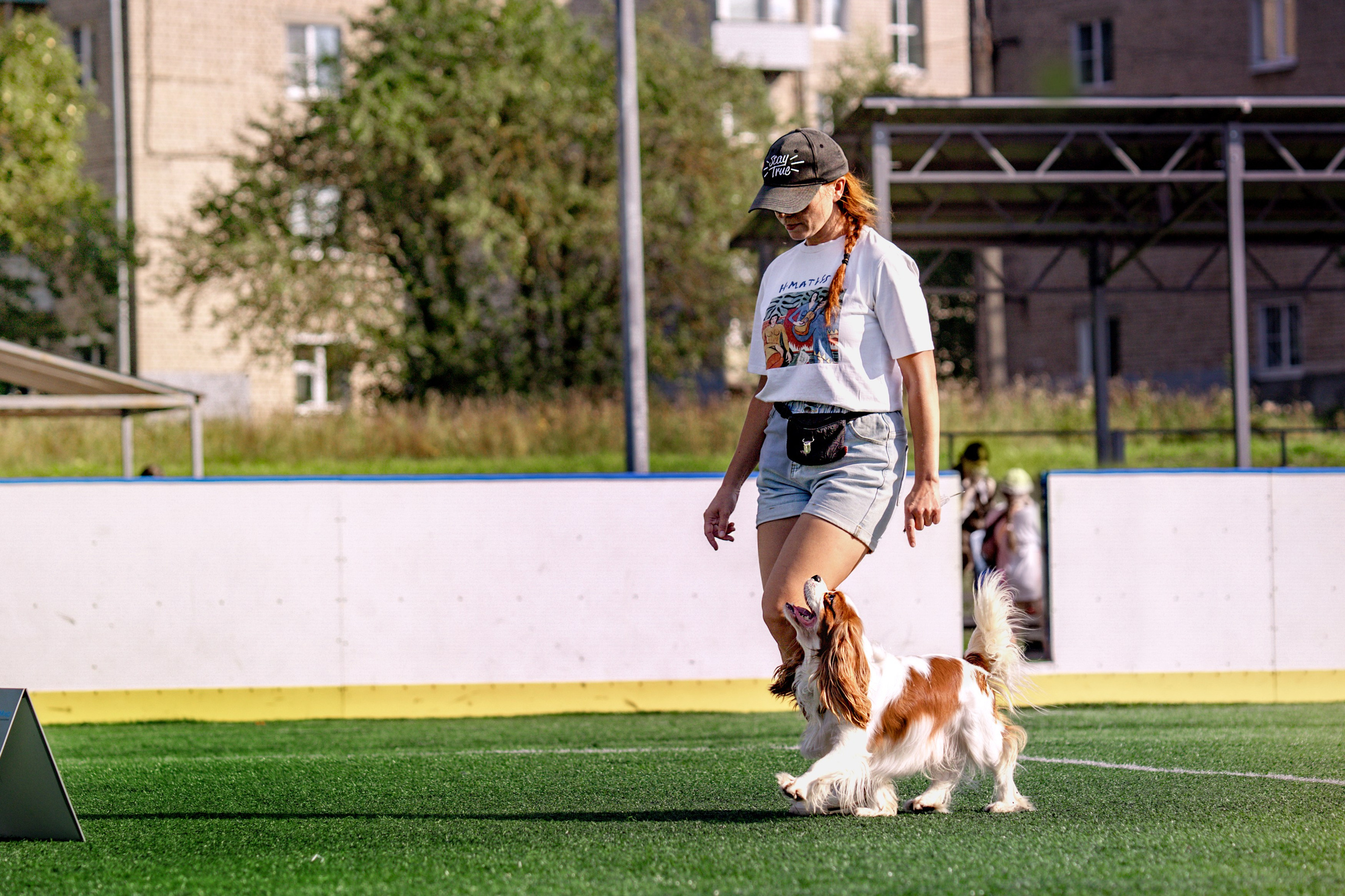 Ралли обидиенс. Фотограф анималист Аня Ливанова | Рыбинск