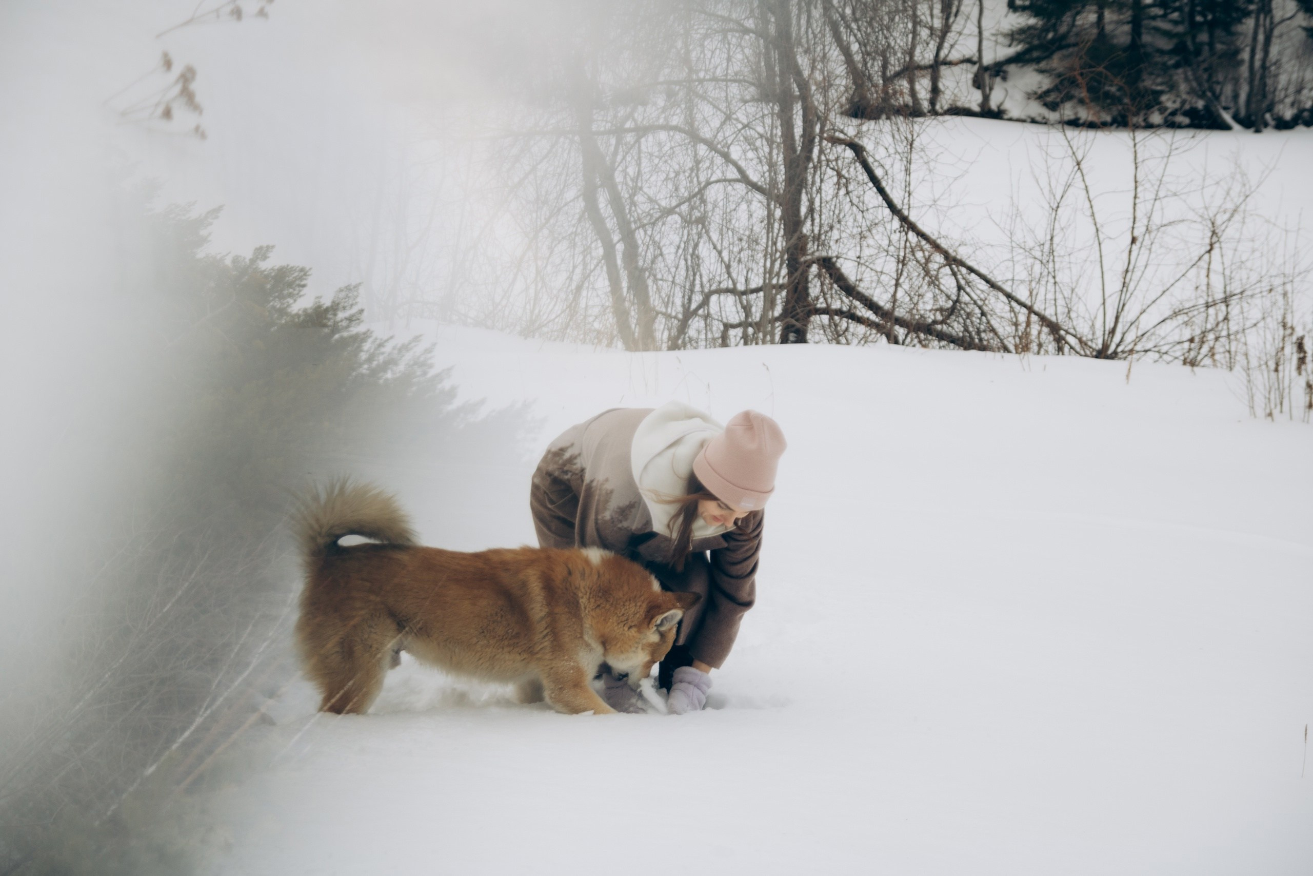 Изумрудный город — ретритный центр в лесу Натальи и Алексея