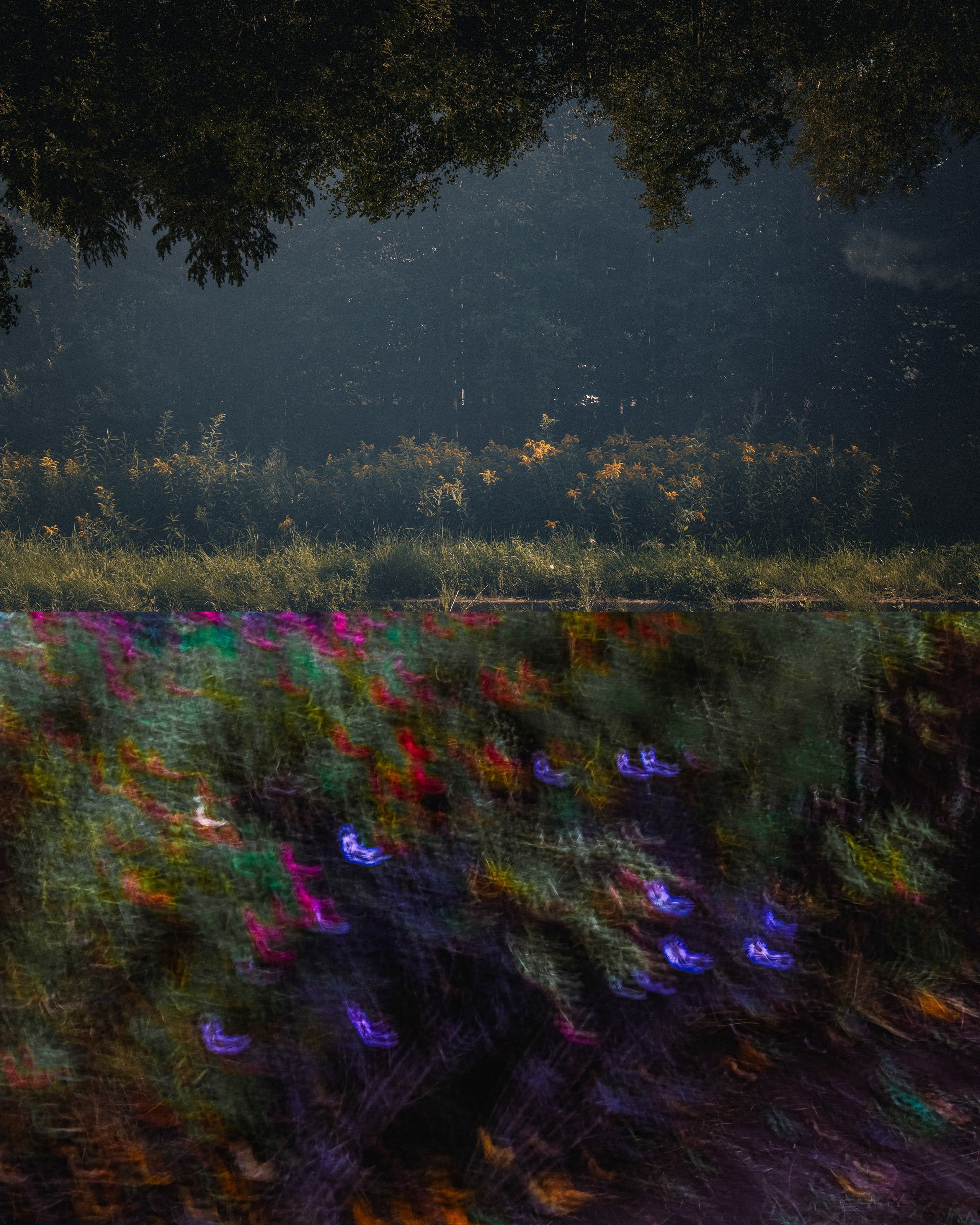 Пространства &. Фотохудожник в СПб