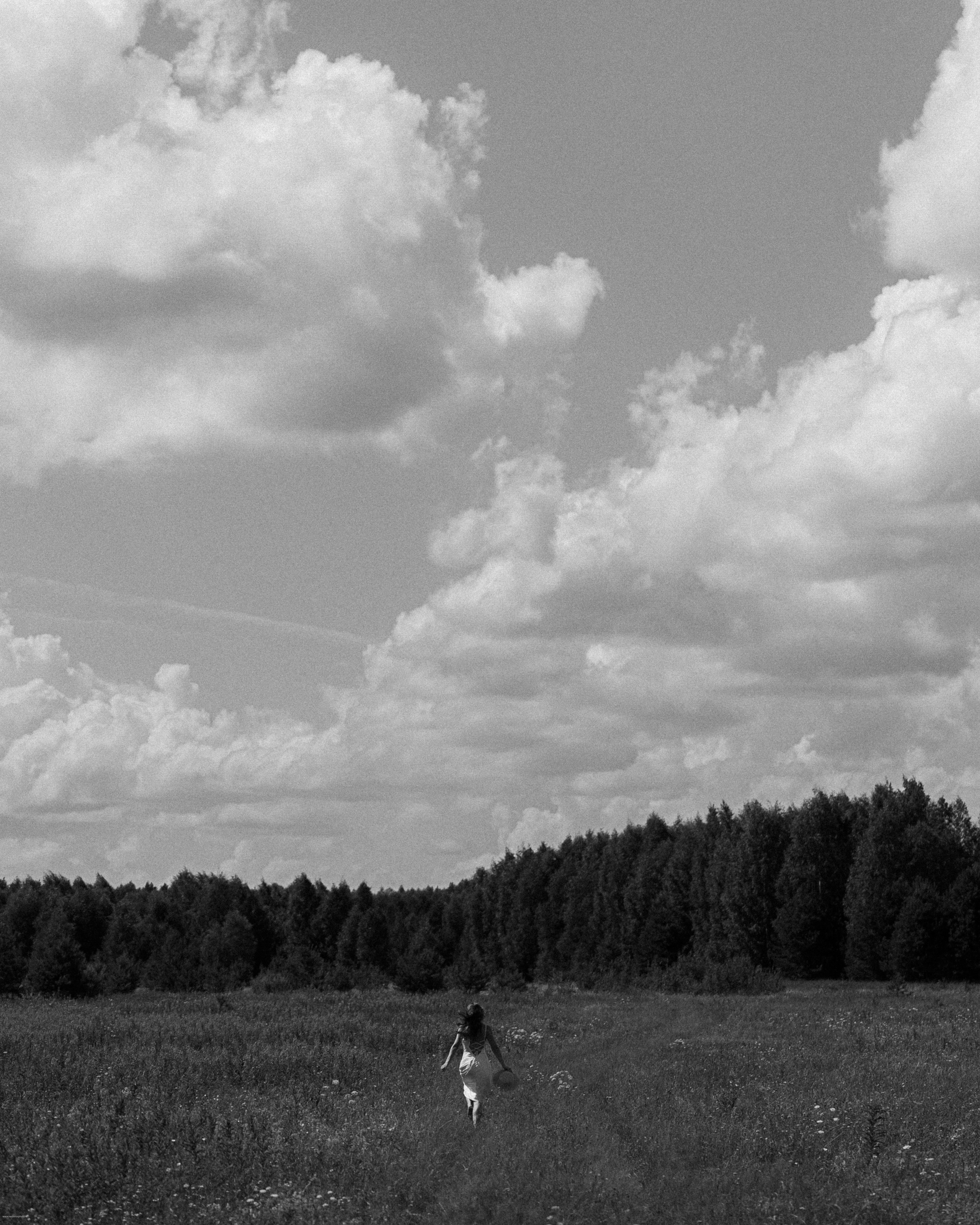 G | K. Свадебный фотограф в Москве Александр Нестеров