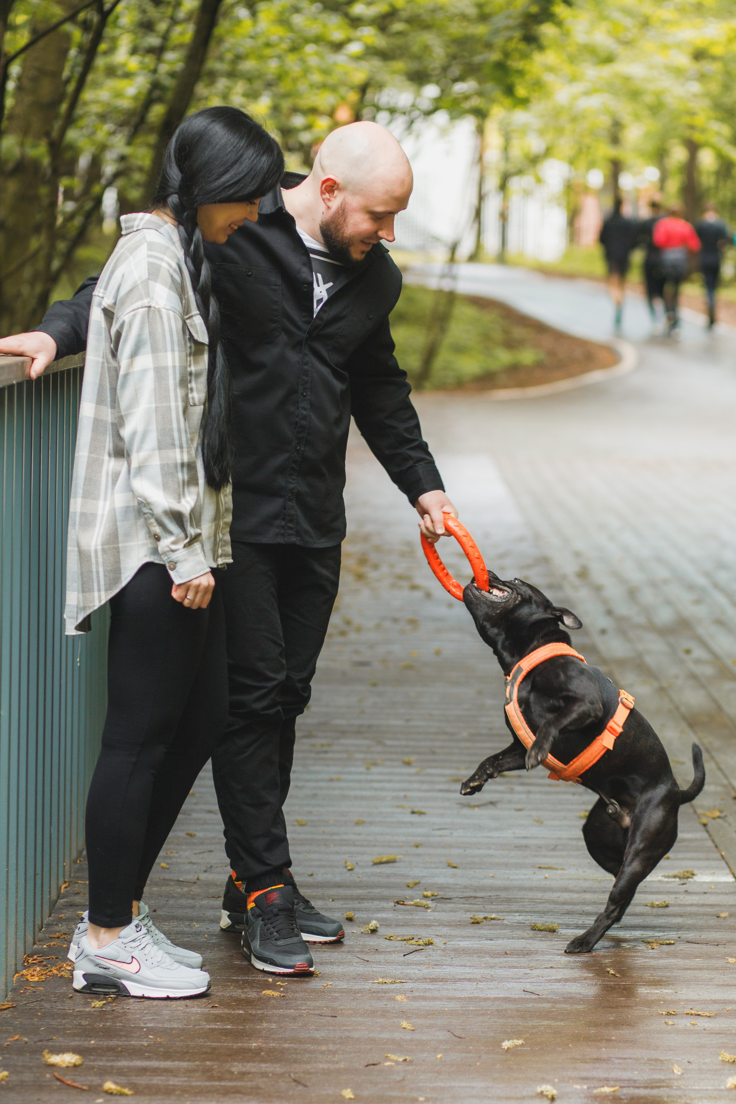 Фотопрогулка большой семьи с двумя собаками летом. Семейный и школьный фотограф в Москве Анна Ткач