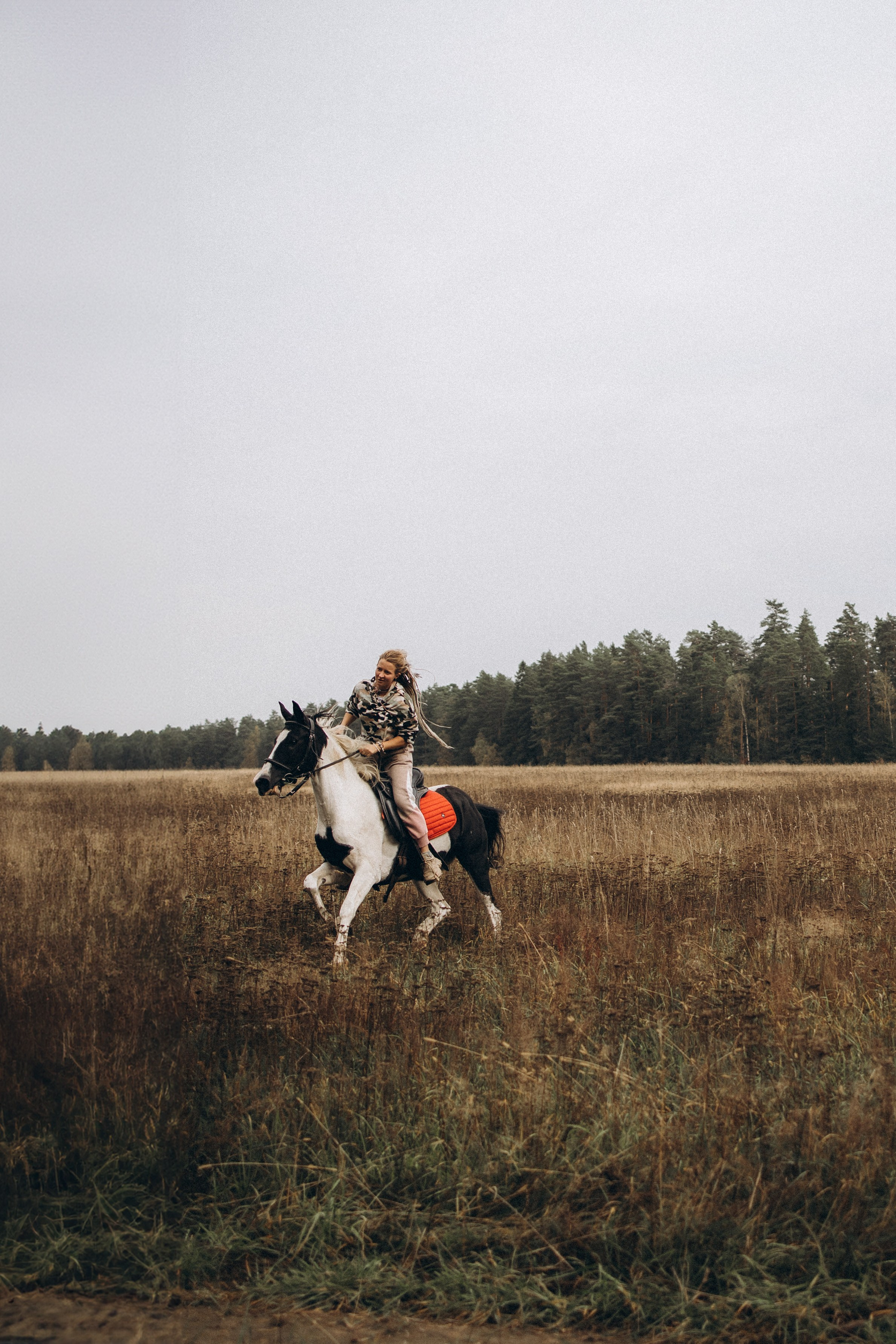 Лошади. Ваш фотограф в Москве и области Юлия