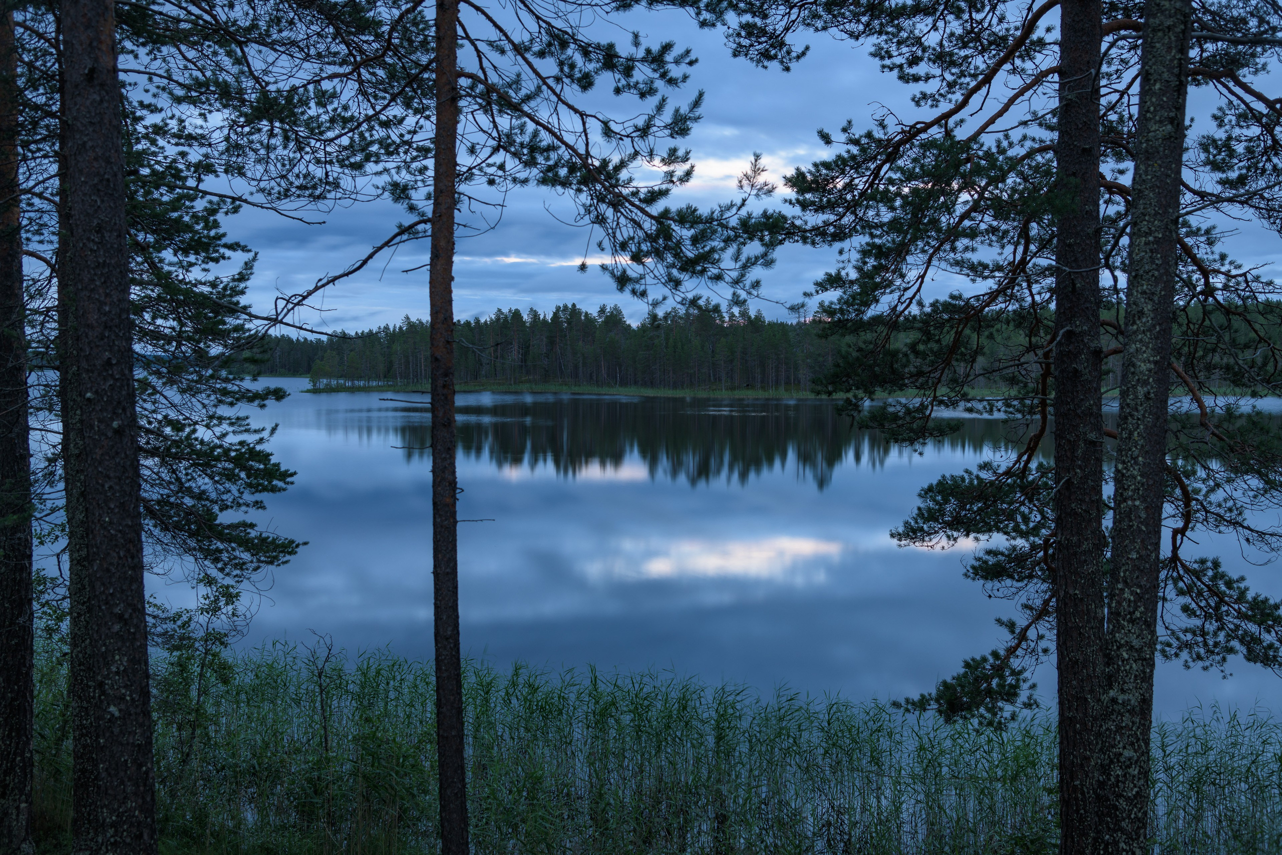Лето. Северные Ночи