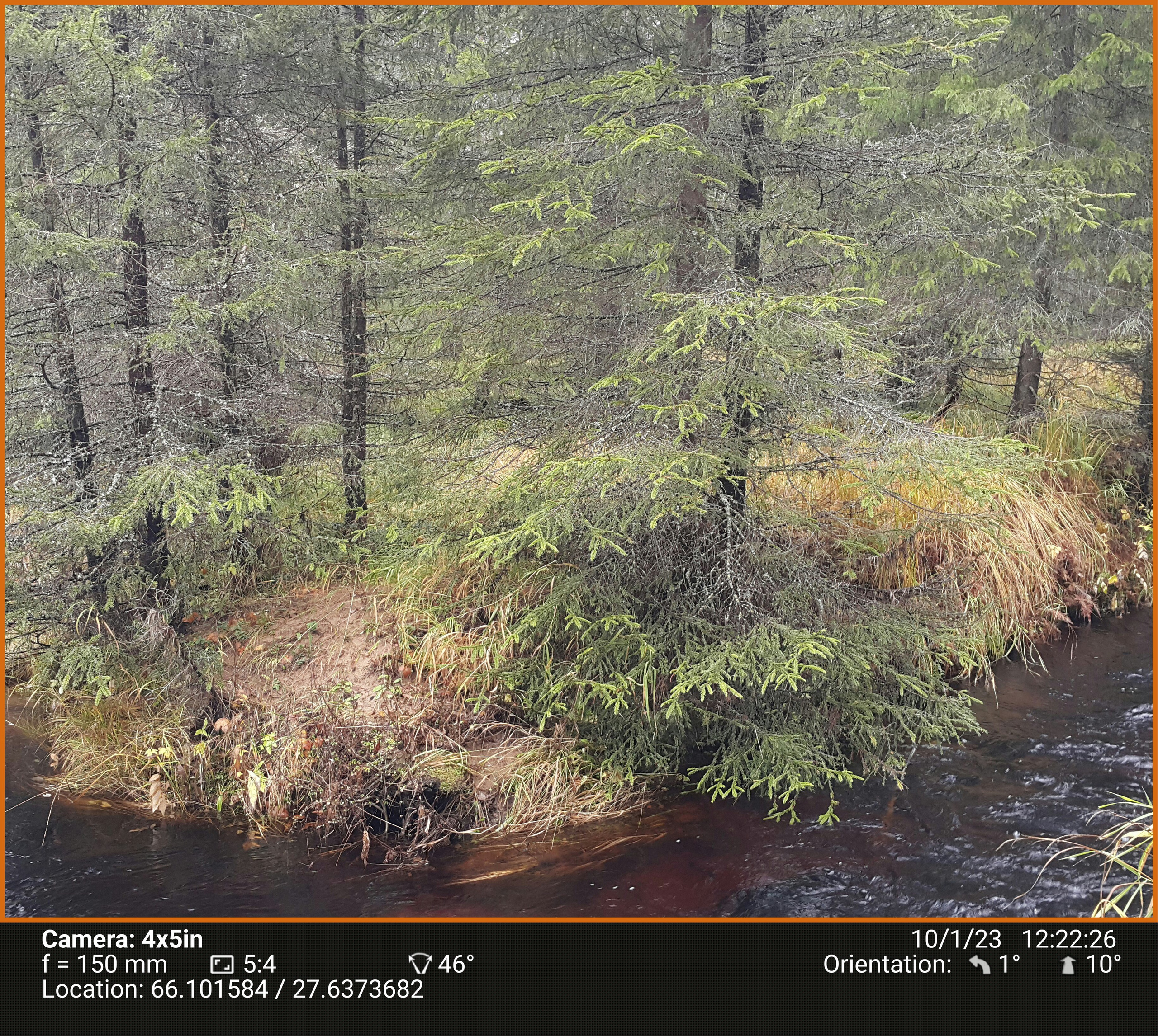 Березовый пруд. Северные Ночи