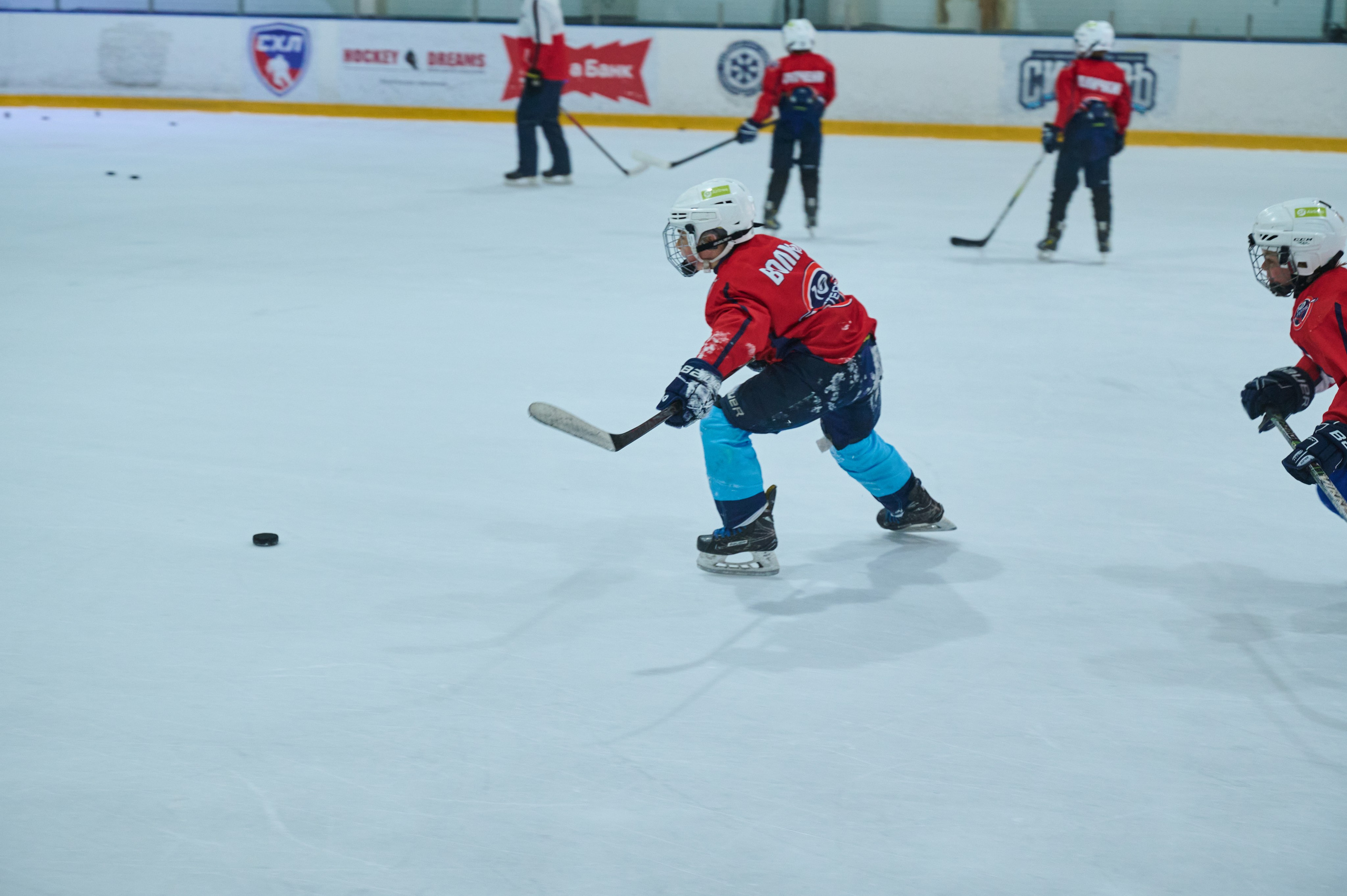 Boston Stars. Фотограф Универсал в Новосибирске