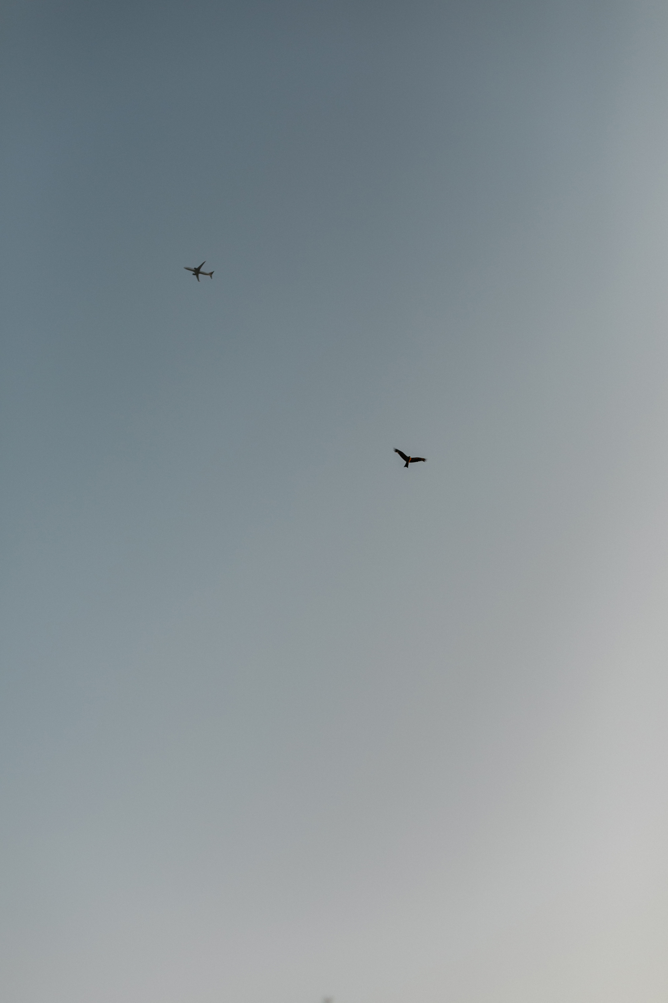 Ann. Душевный фотограф Ксюша Мишина, Москва|Челябинск