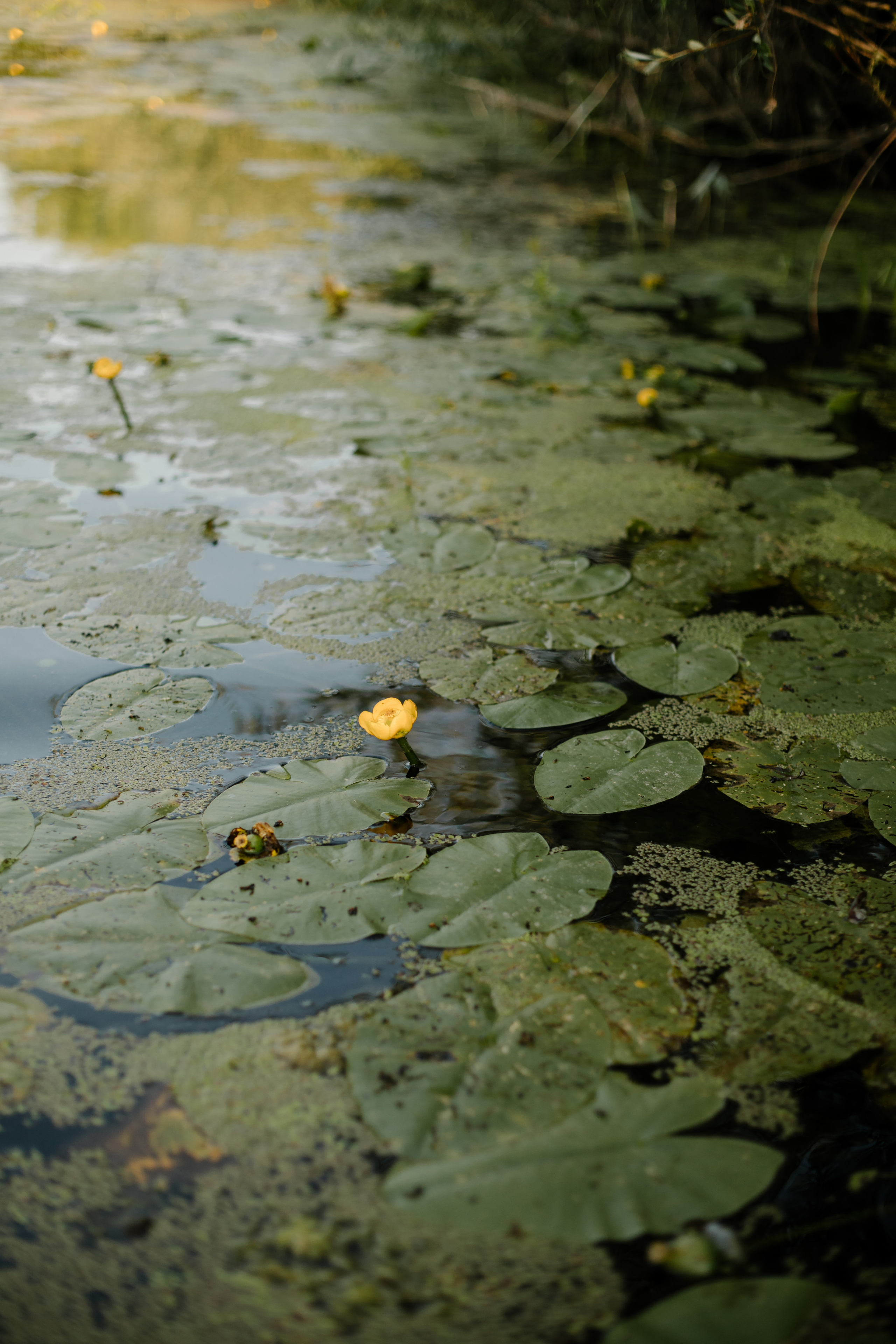 Алина. Душевный фотограф Ксюша Мишина, Москва|Челябинск