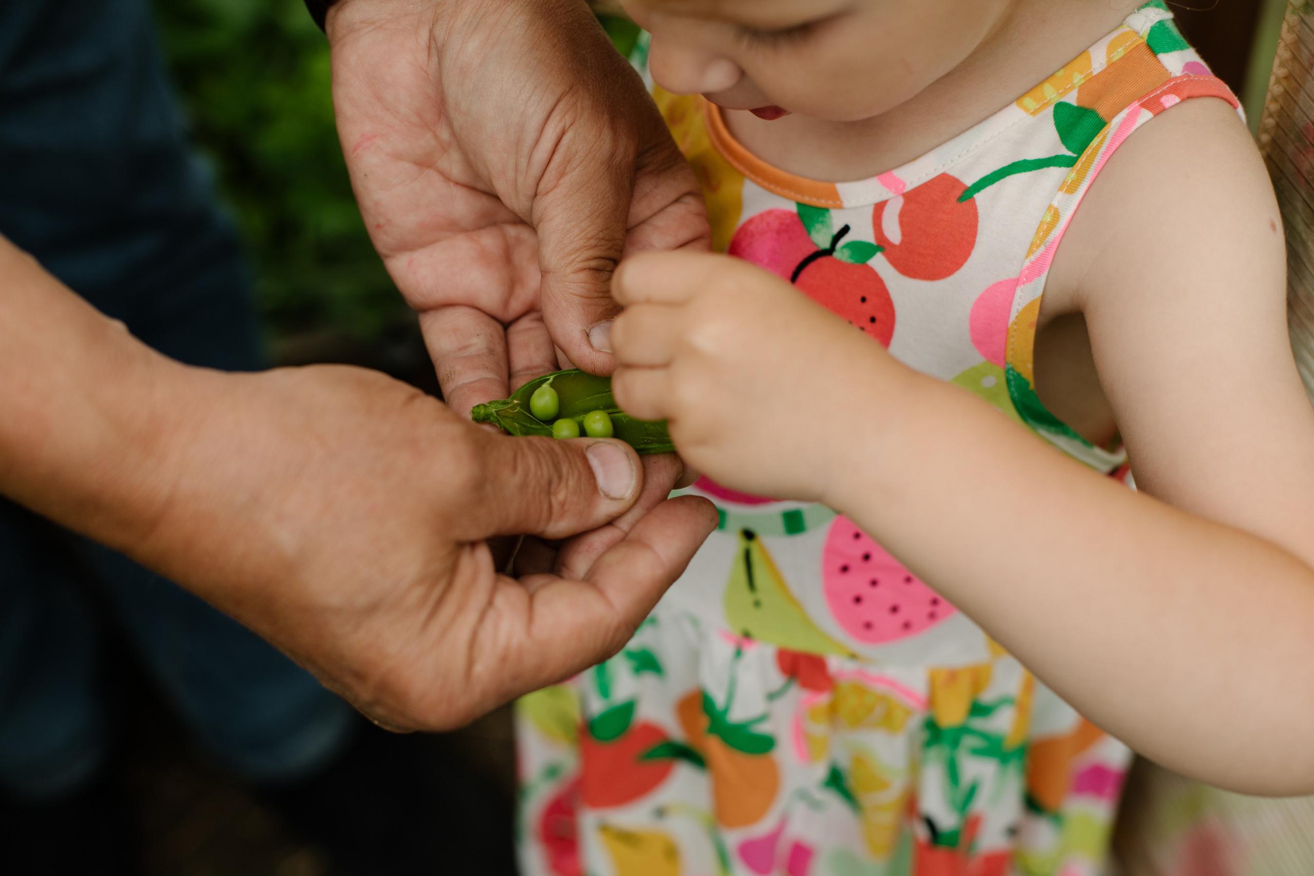 Russian garden:). Душевный фотограф Ксюша Мишина, Москва|Челябинск