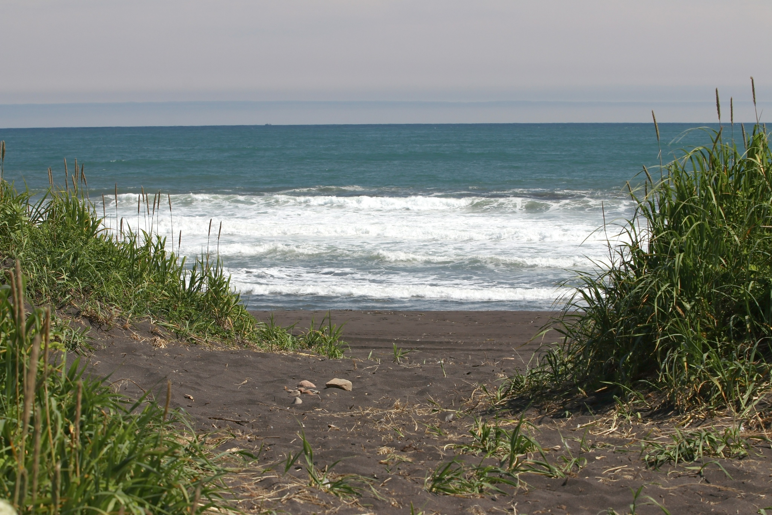 Камчатка и о. Парамушир. Июль 2024. Путешественник-фотограф из Санкт-Петербурга Татьяна Свистулина
