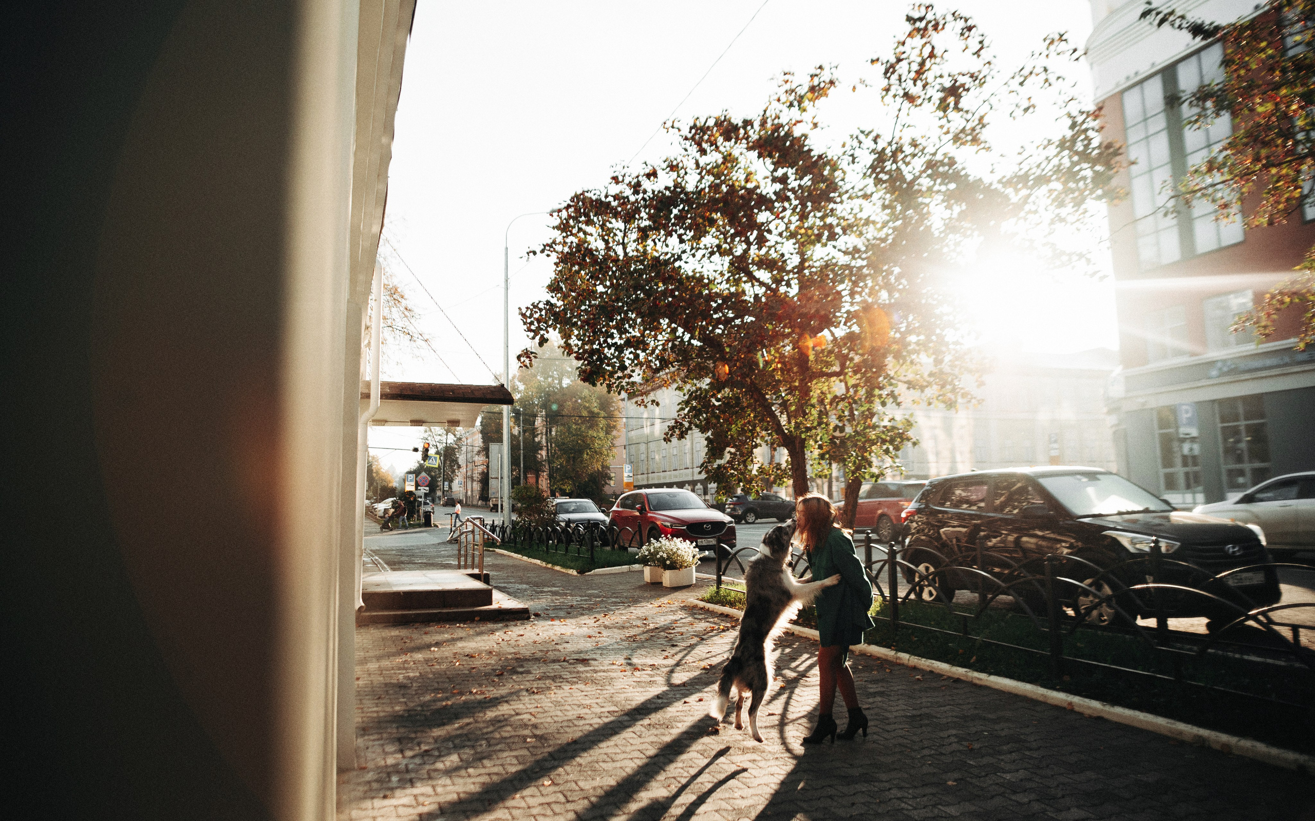 Диана и Робин. Фотограф-анималист Богданова Полина