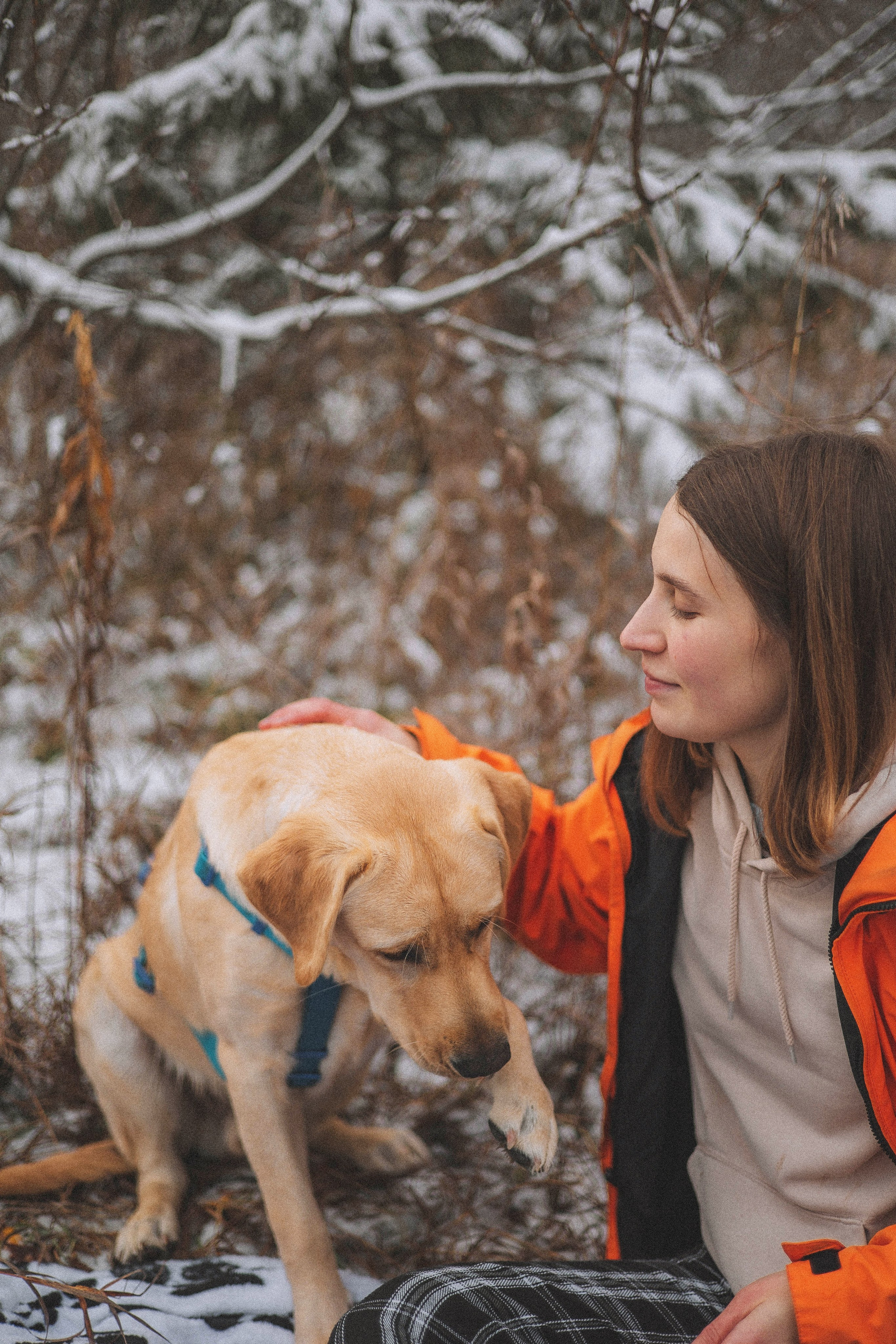 Маргарита и Варди. Фотограф-анималист Богданова Полина