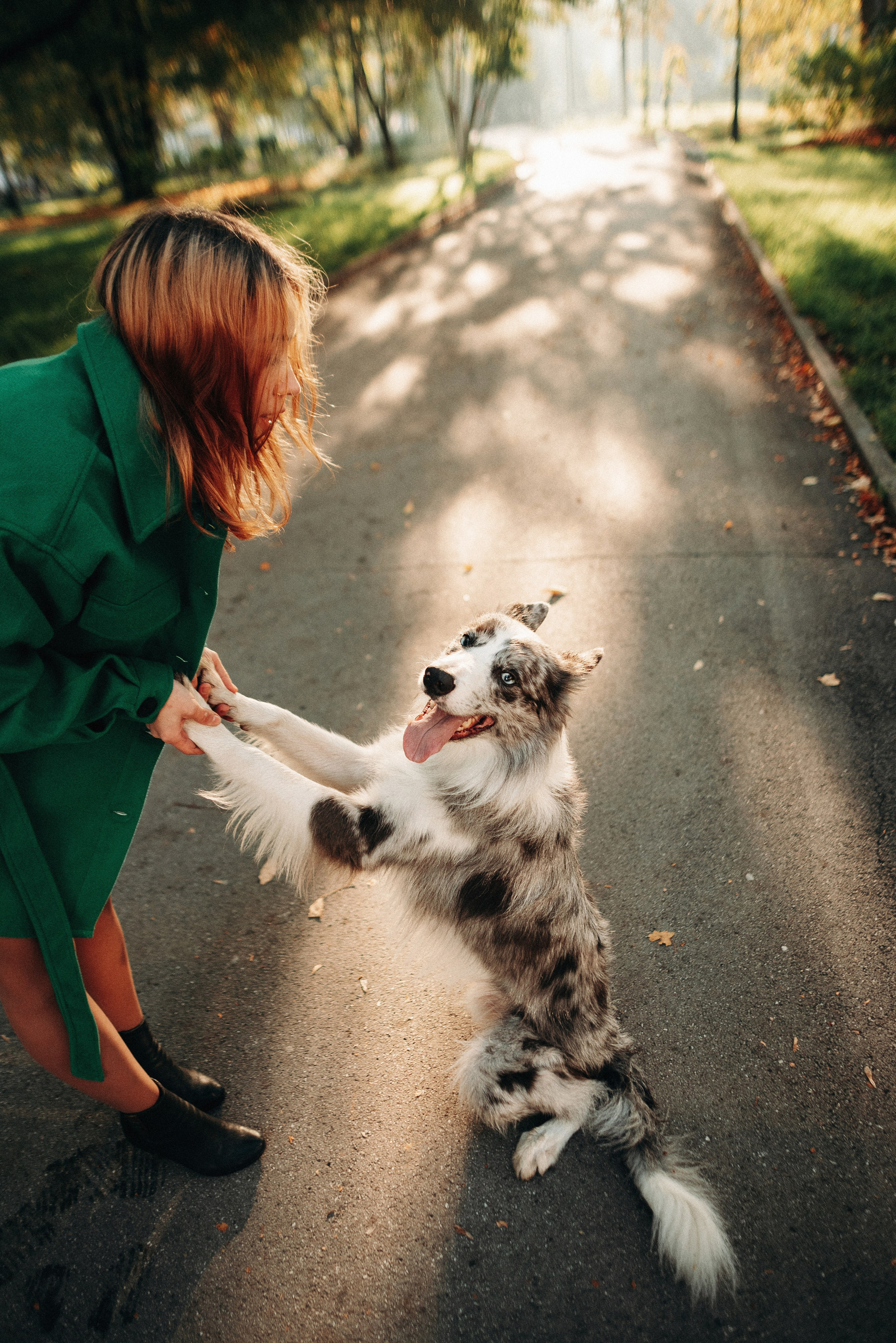 Диана и Робин. Фотограф-анималист Богданова Полина