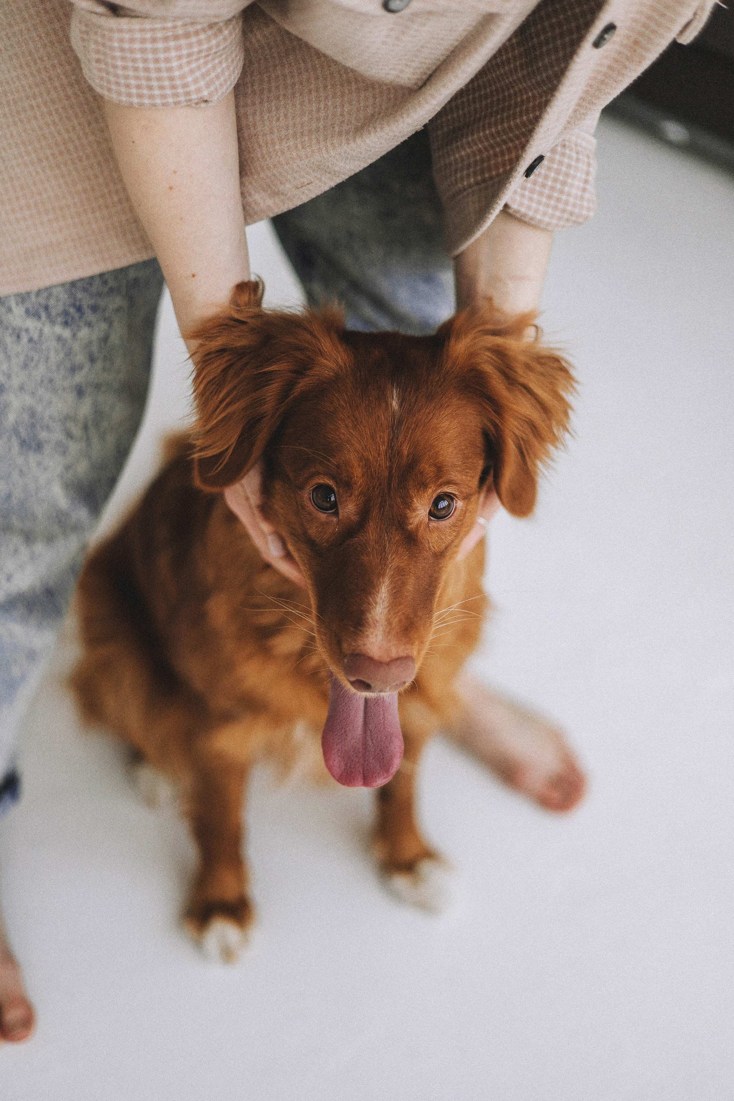 Аня и Лея. Фотограф-анималист Богданова Полина