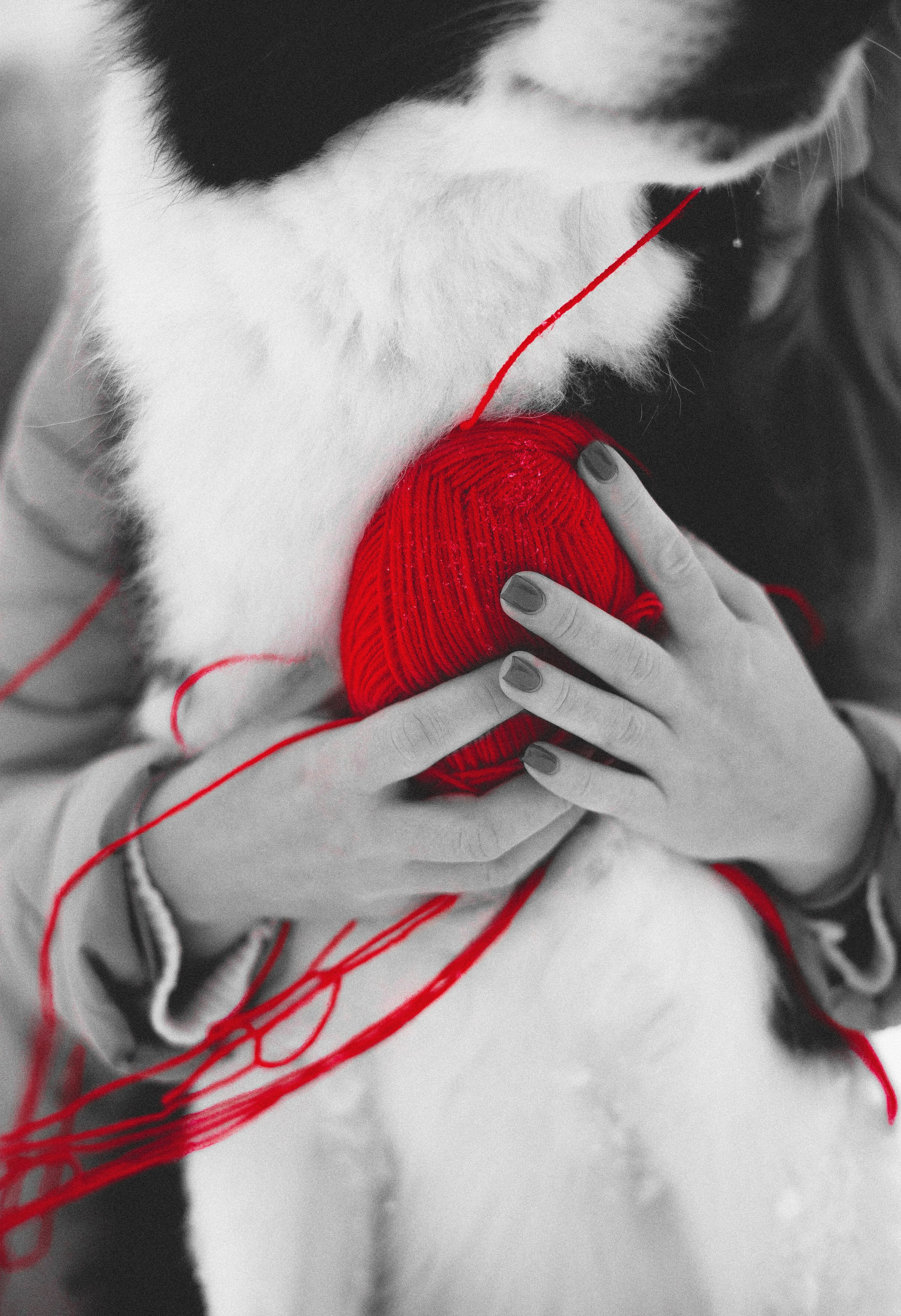 Анна и Тео. Фотограф-анималист Богданова Полина