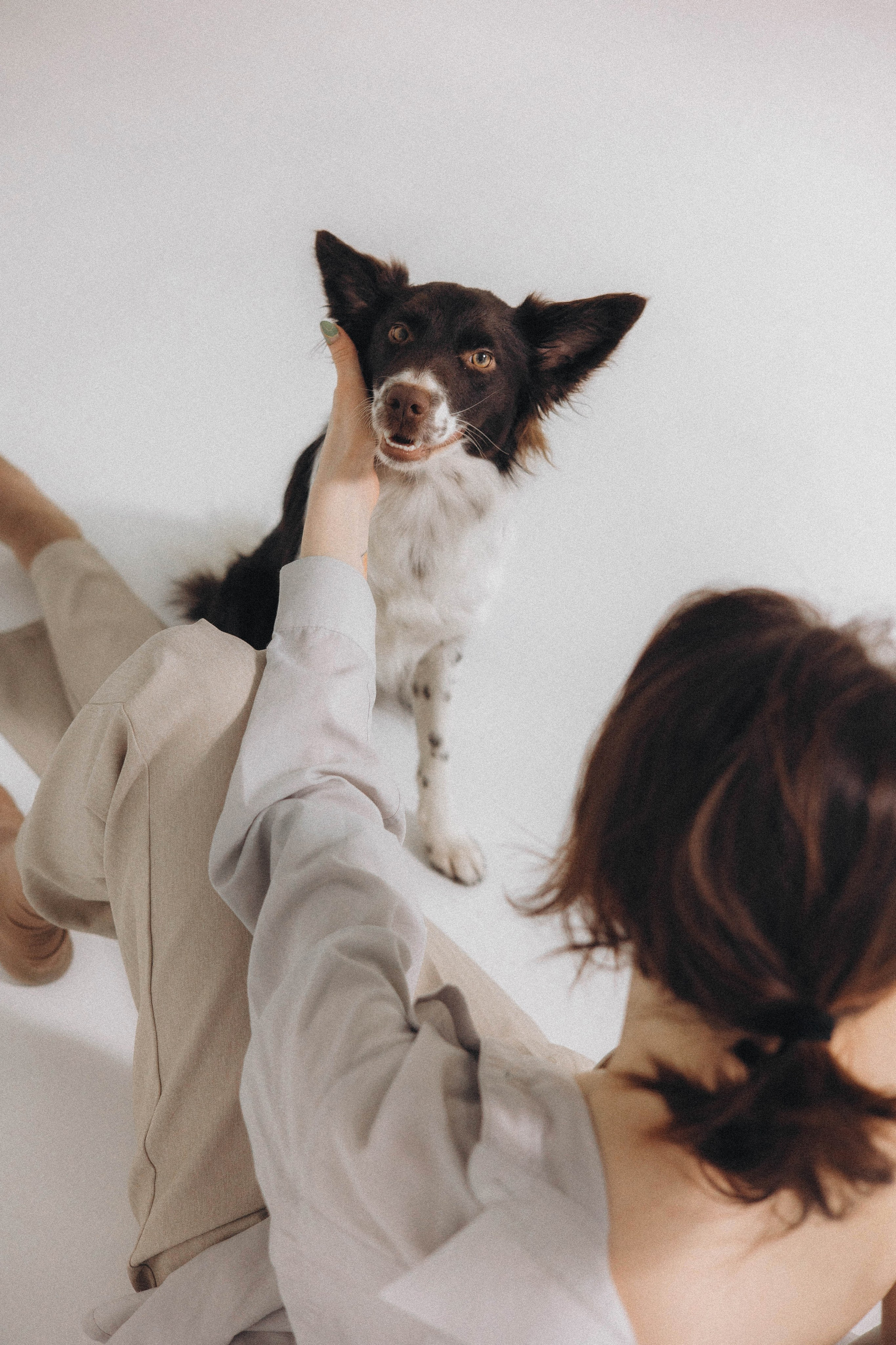 Алена и Гвендолин. Фотограф-анималист Богданова Полина