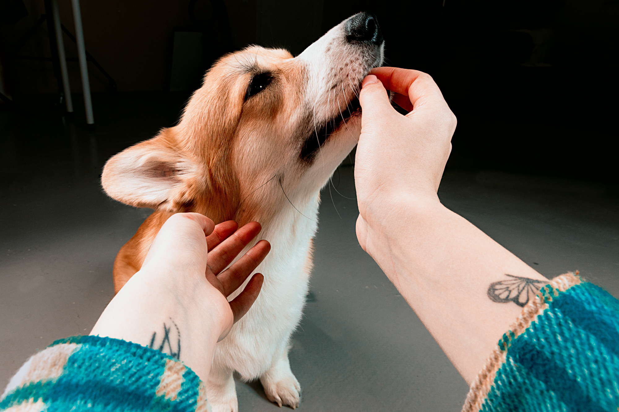 Фотосессия в студии