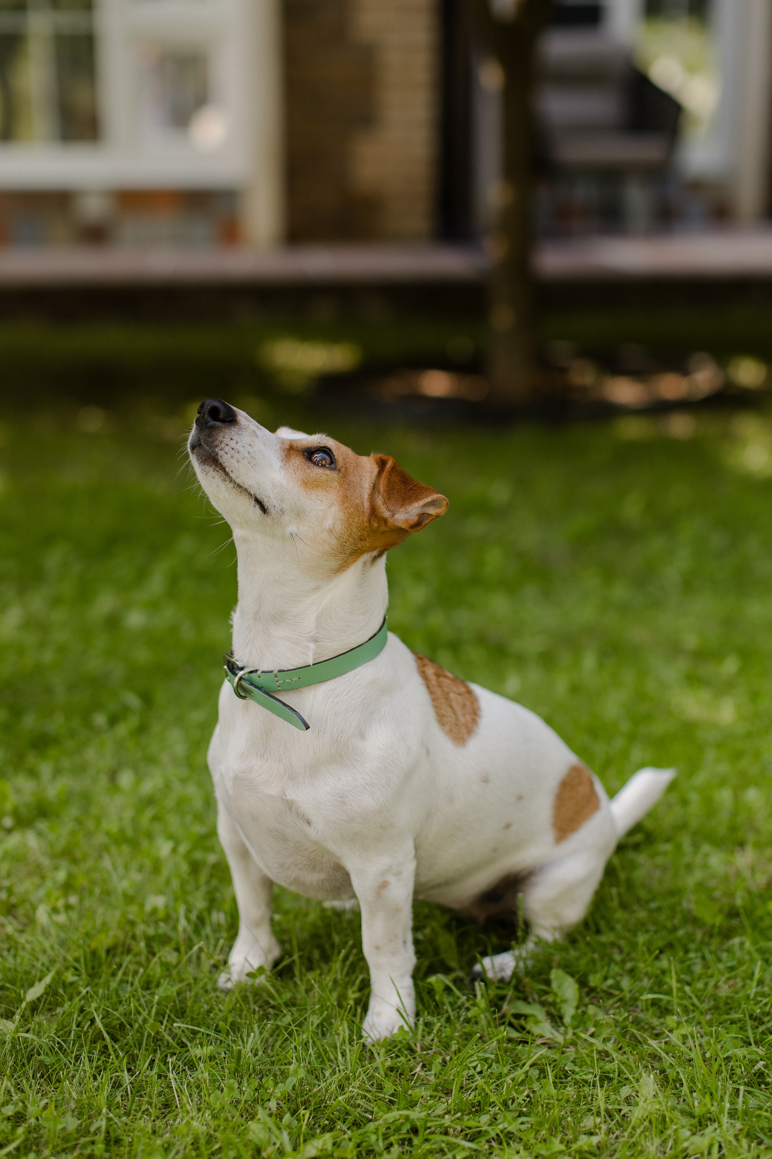 Семья. Семейный и детский фотограф в Москве Кузьмина Мария